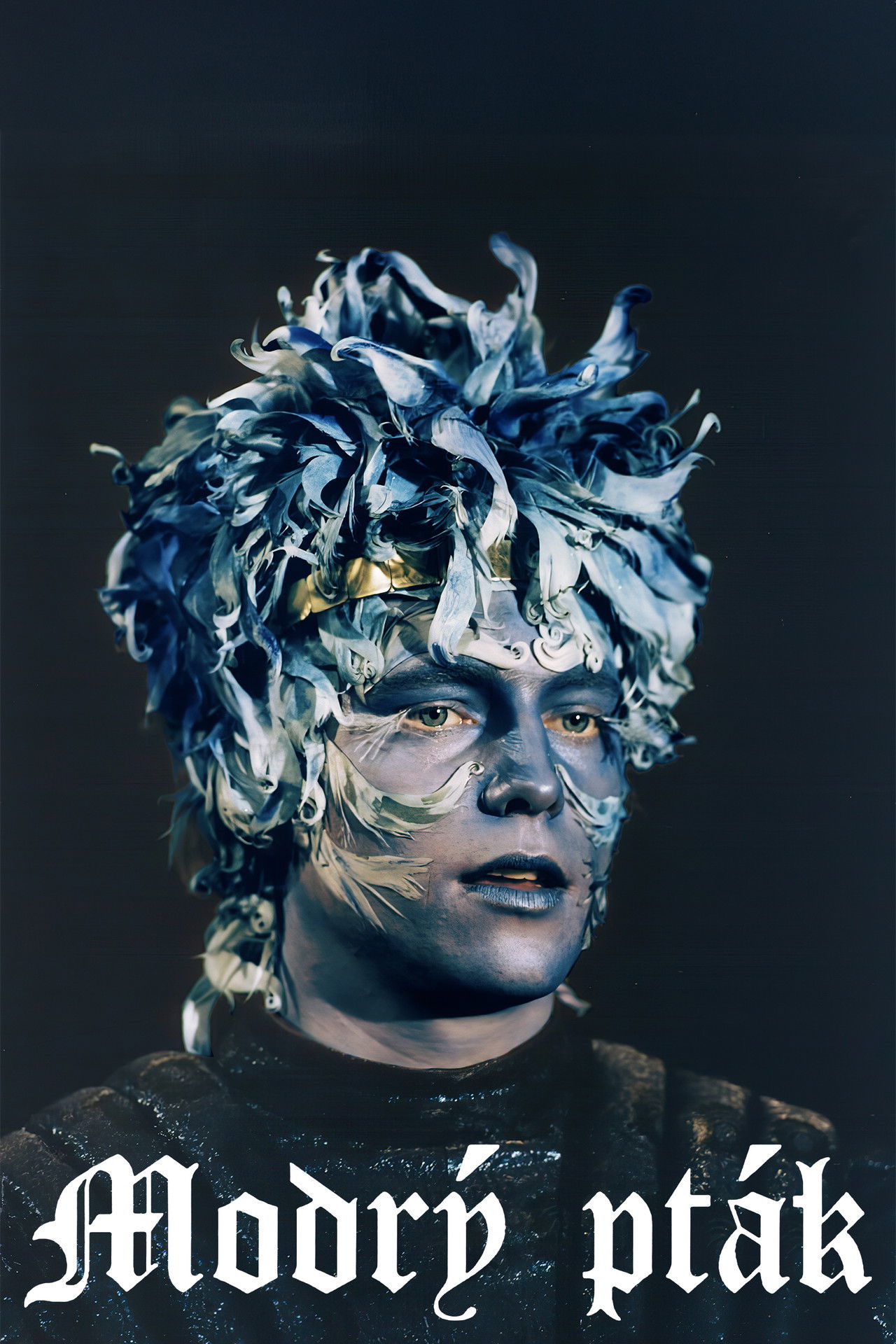 Modrý pták Backdrop