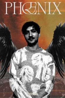 Phoenix : Les Origines poster