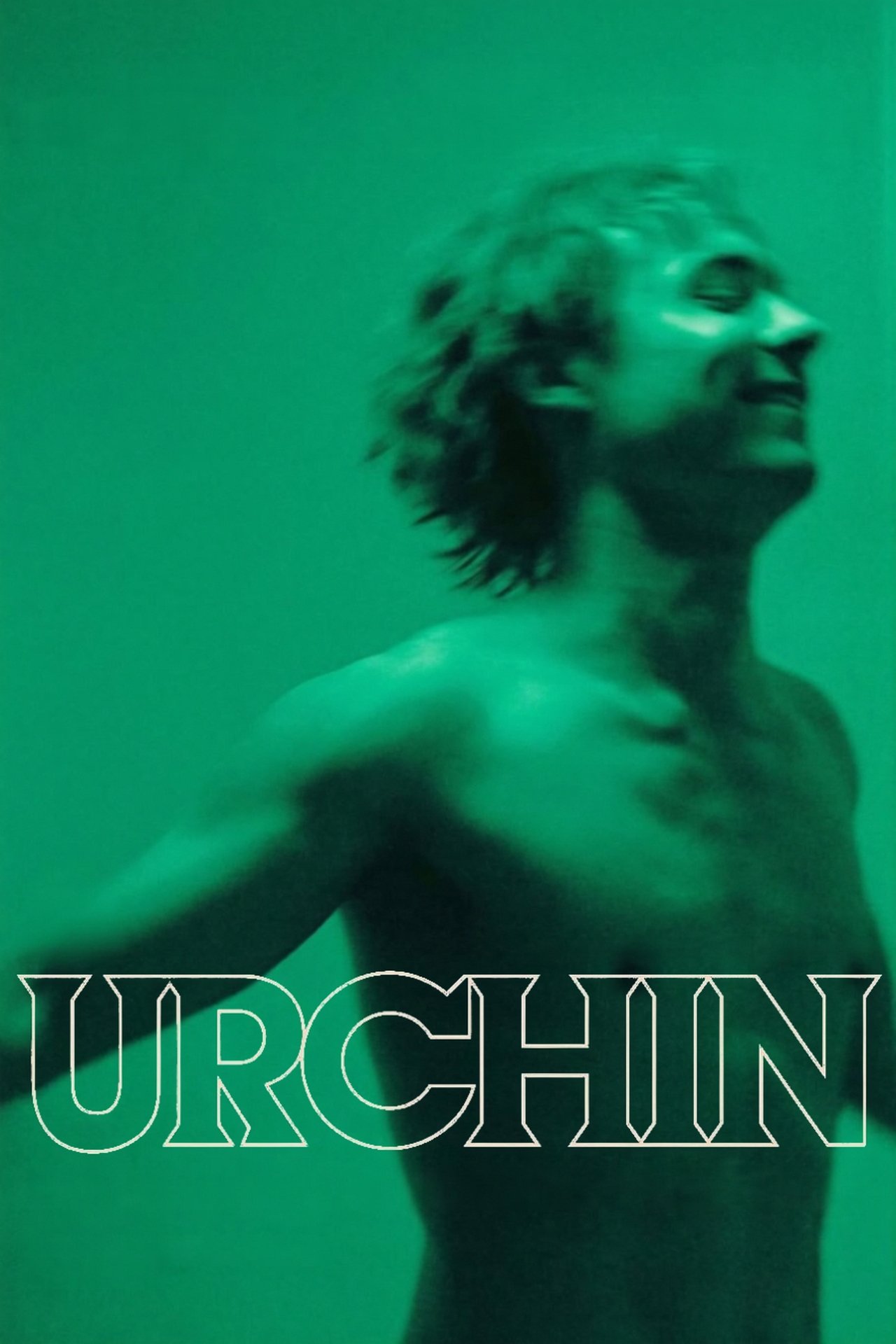 Urchin