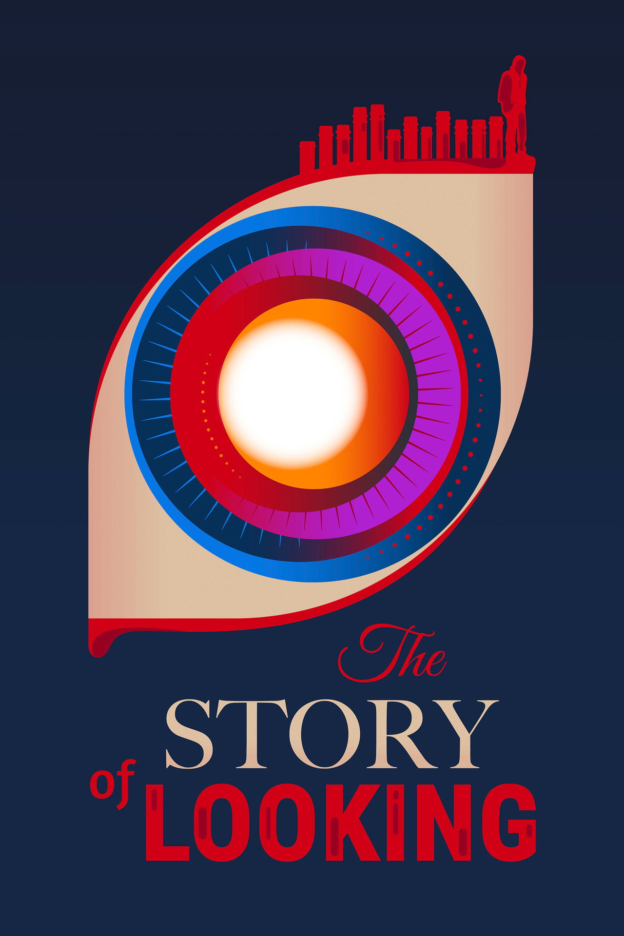 The Story of Looking filmaffisch