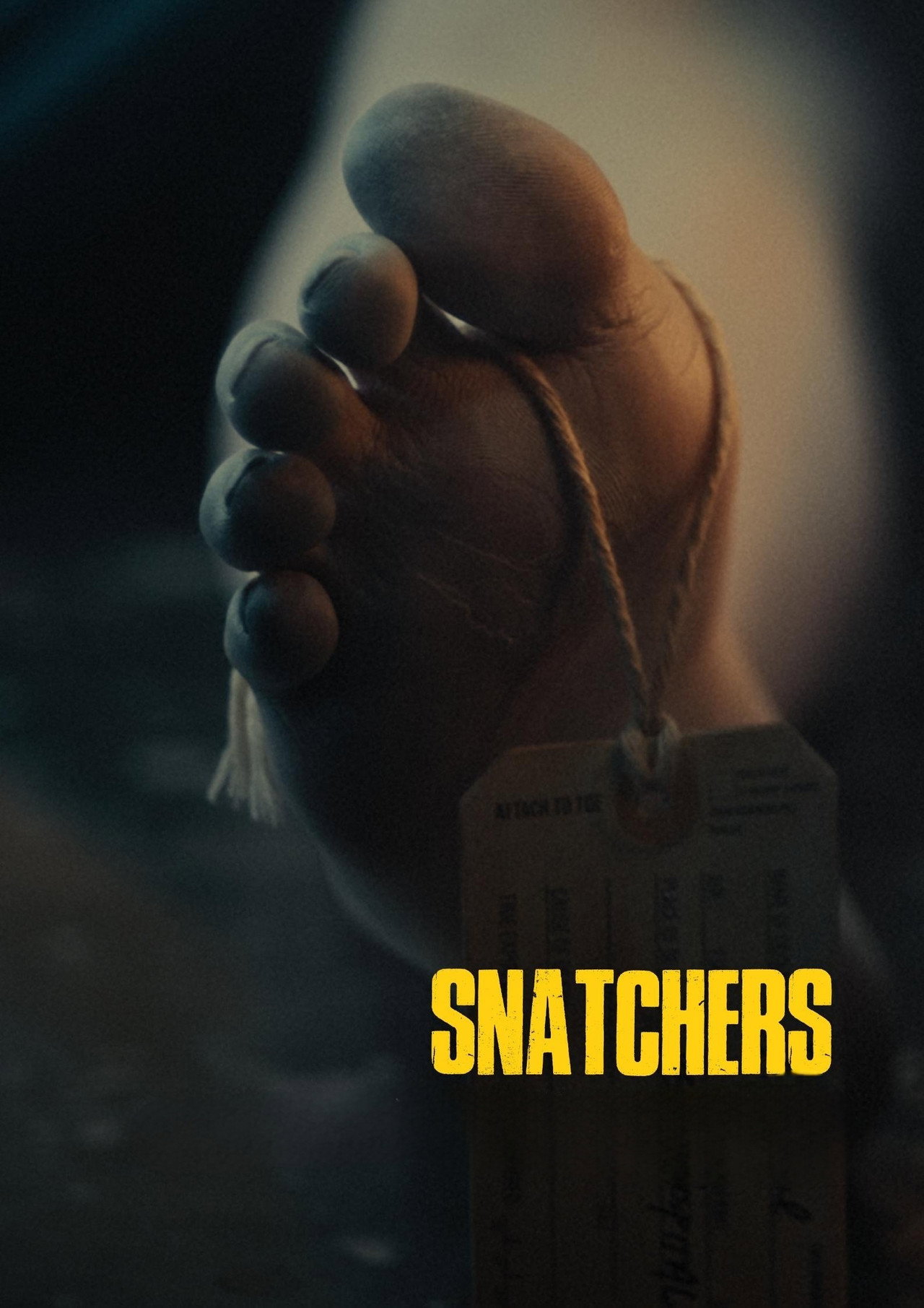 Snatchers filmaffisch