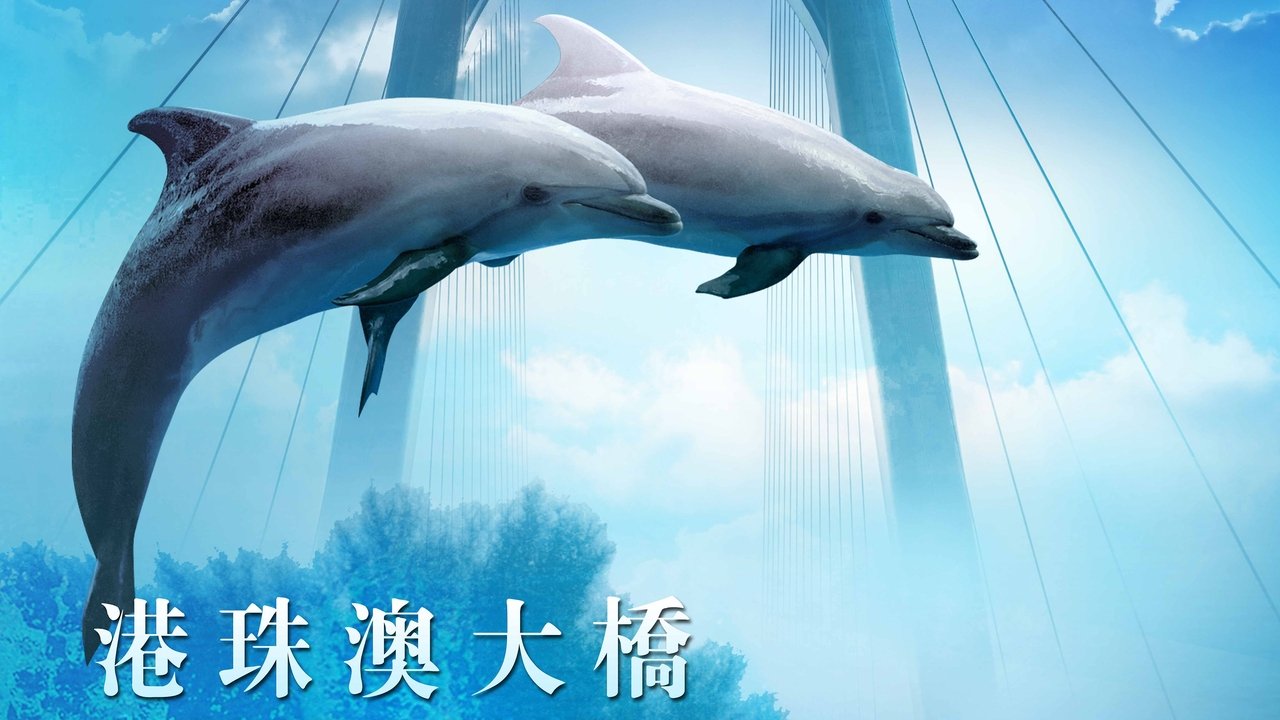 港珠澳大桥 港珠澳大桥