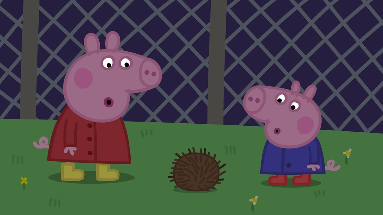 Peppa Pig - Season 4 Episode 35 : Night Animals