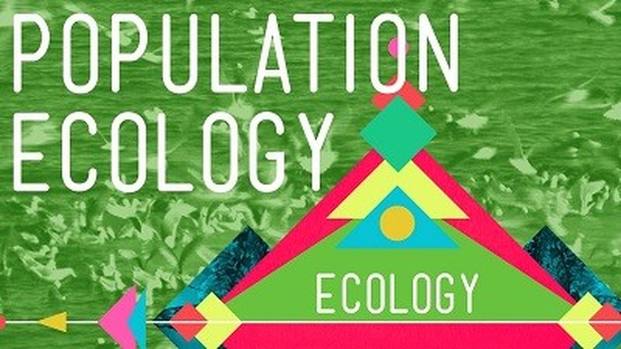 Population Ecology: The Texas Mosquito Mystery
