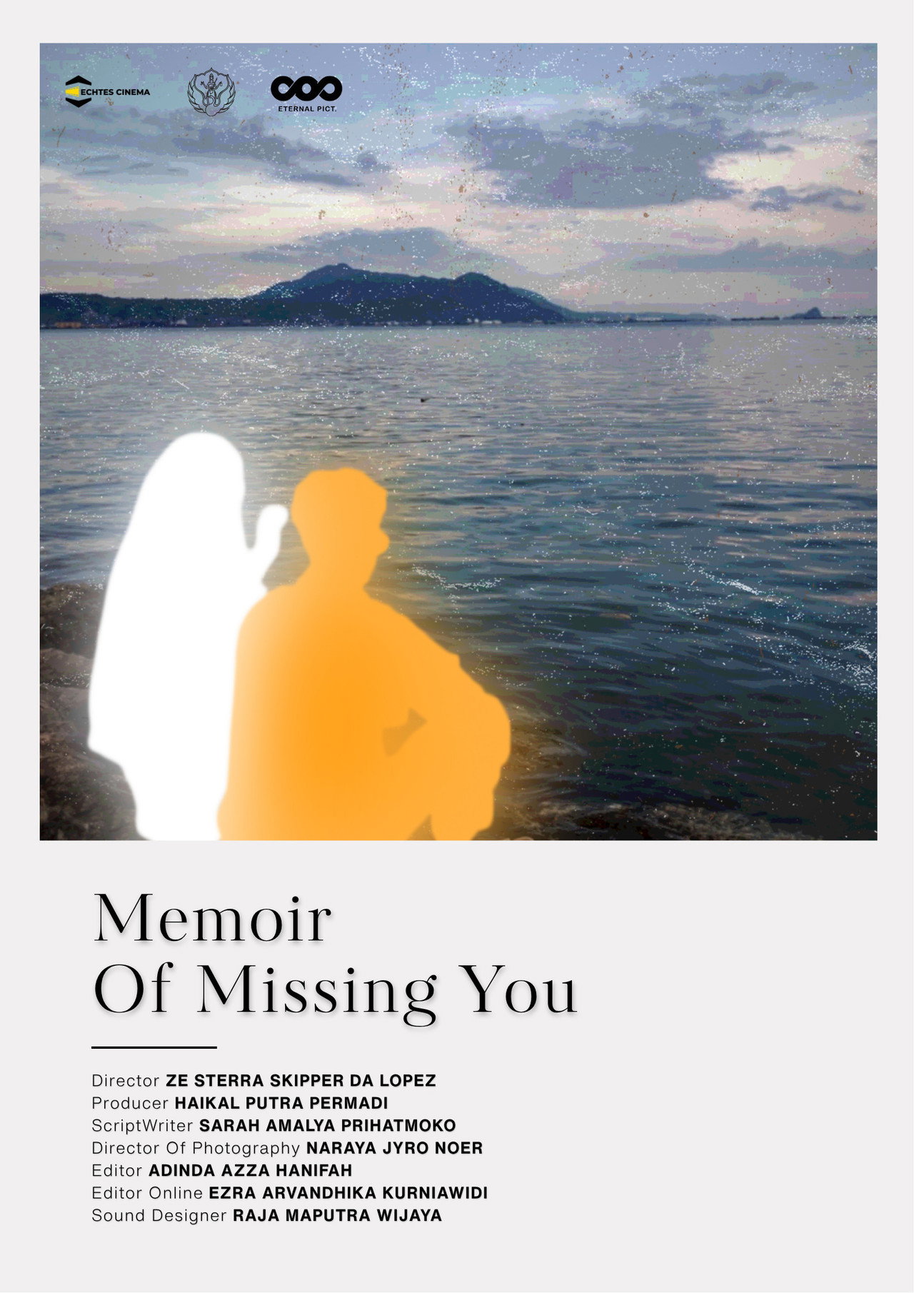 Memoir Of Missing You