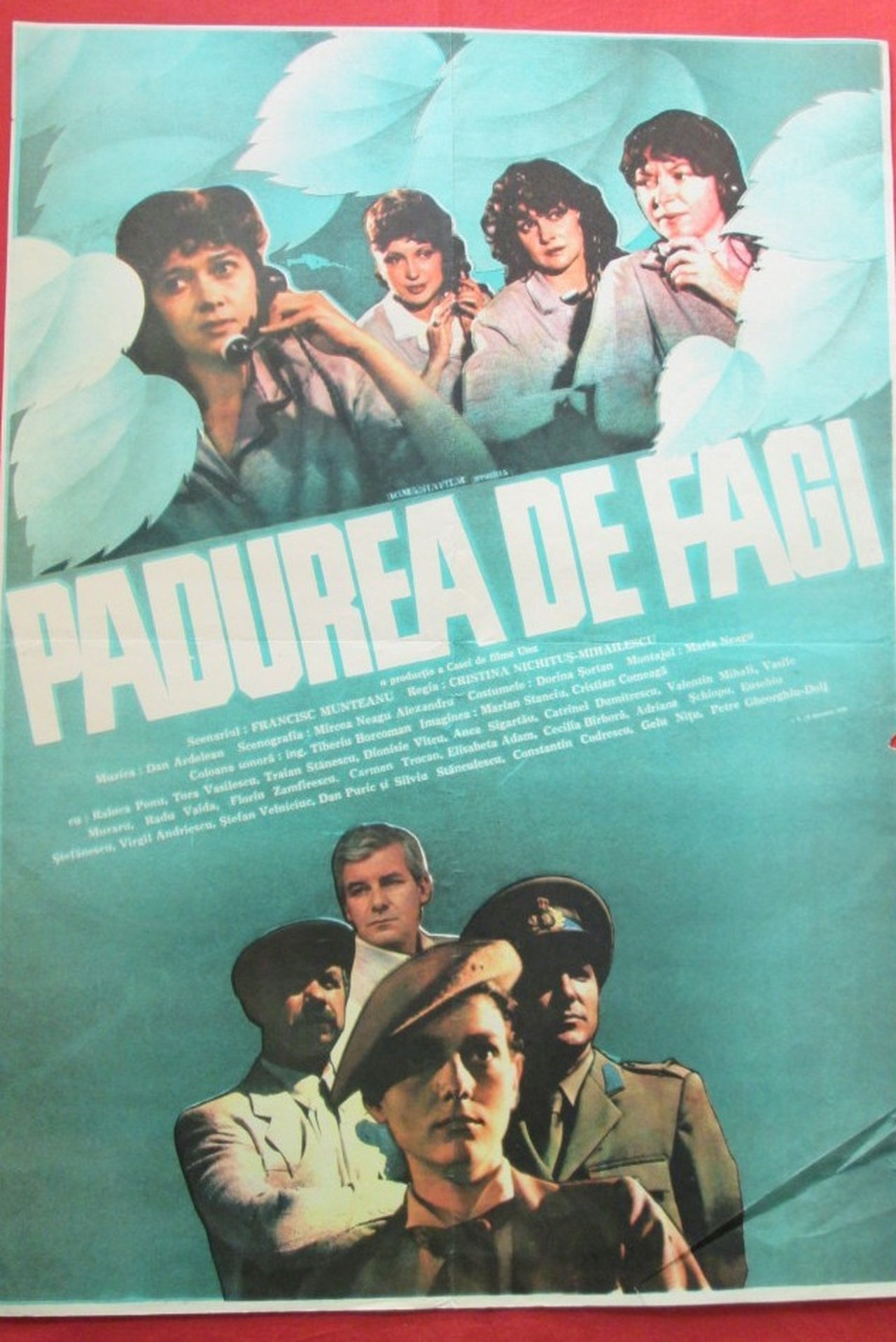Pădurea de fagi Pădurea de fagi