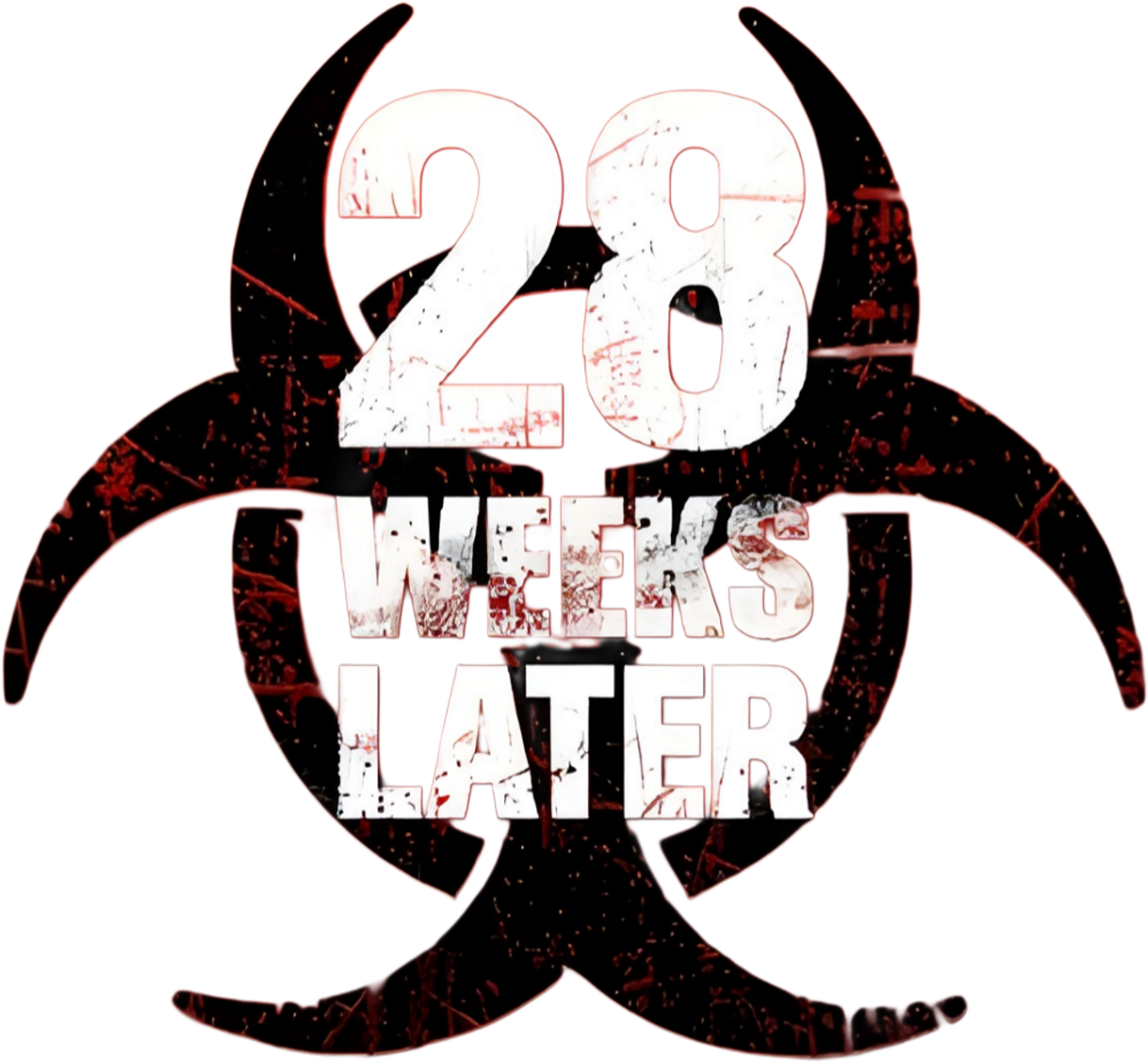 28 недель спустя