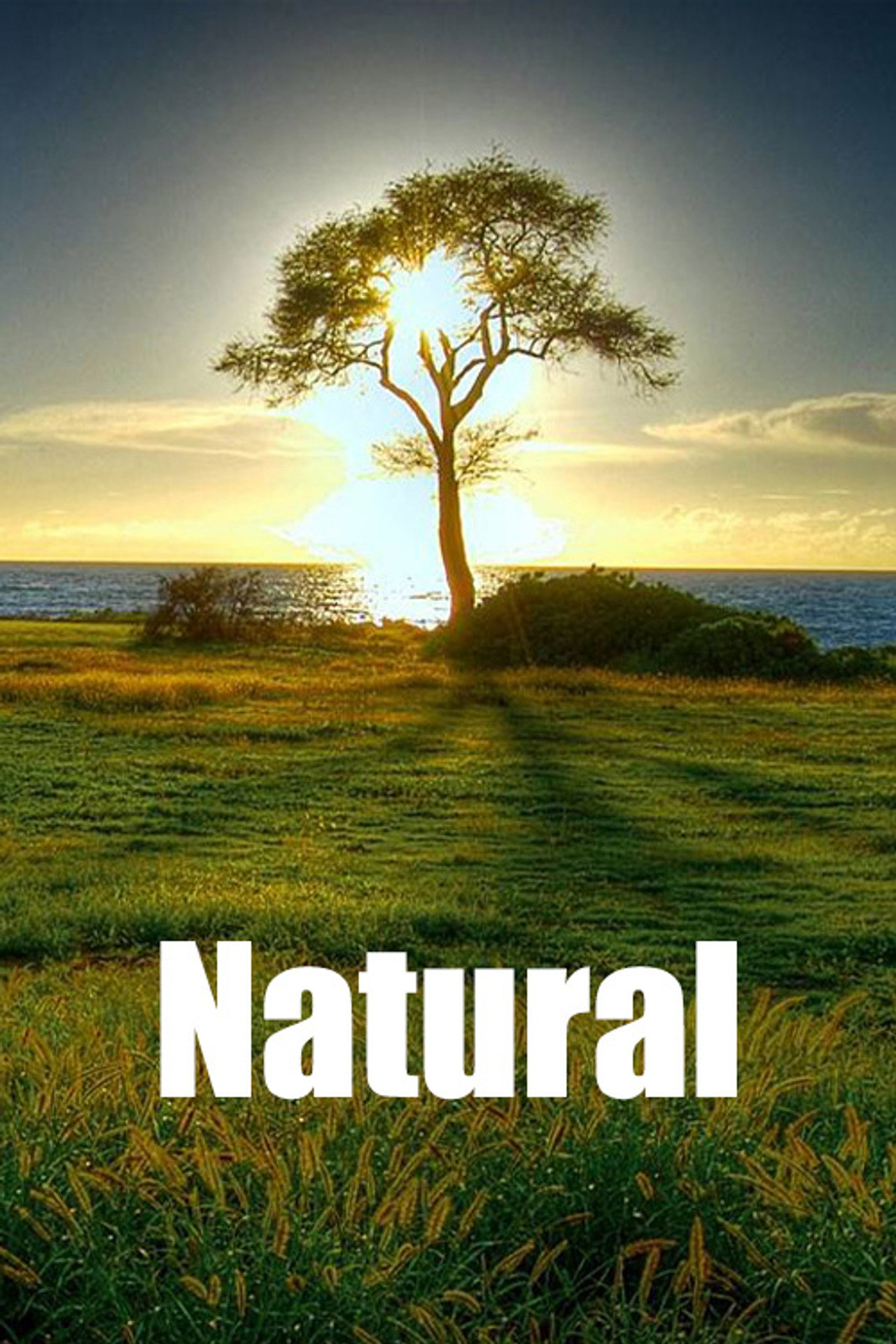 Natural affisch
