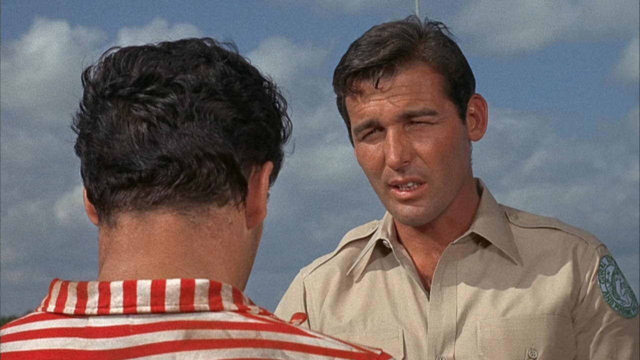 Flipper backdrop