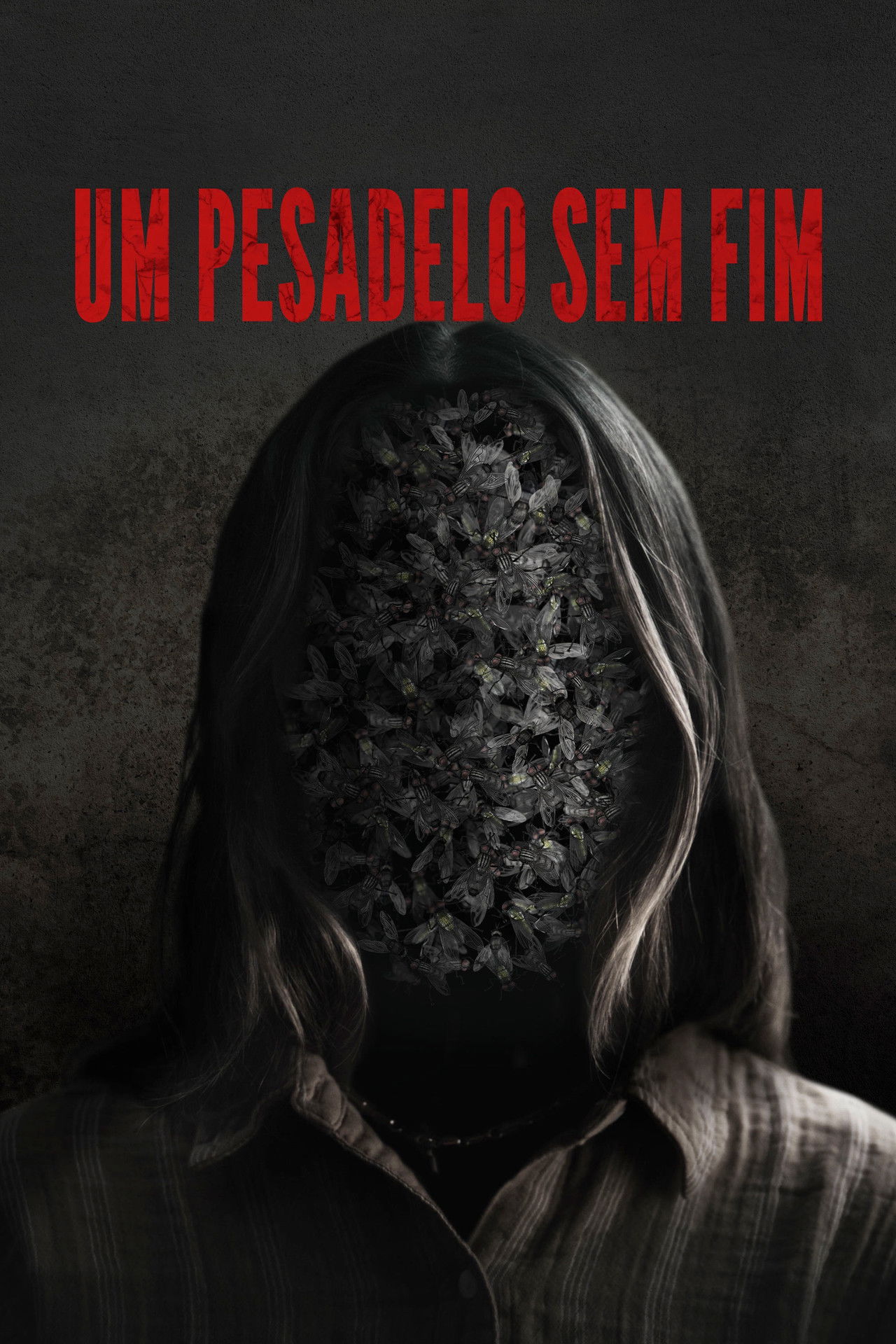 Um Pesadelo Sem Fim