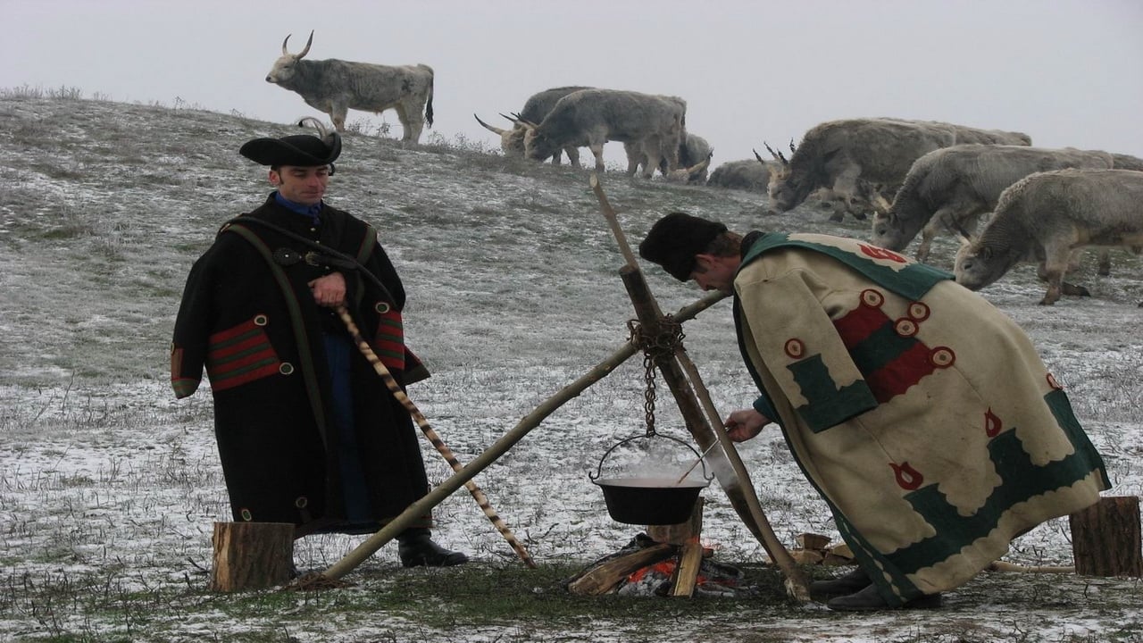 Wild Hungary – A Water Wonderland background