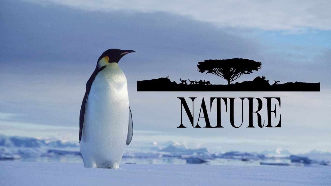 Nature - Season 28