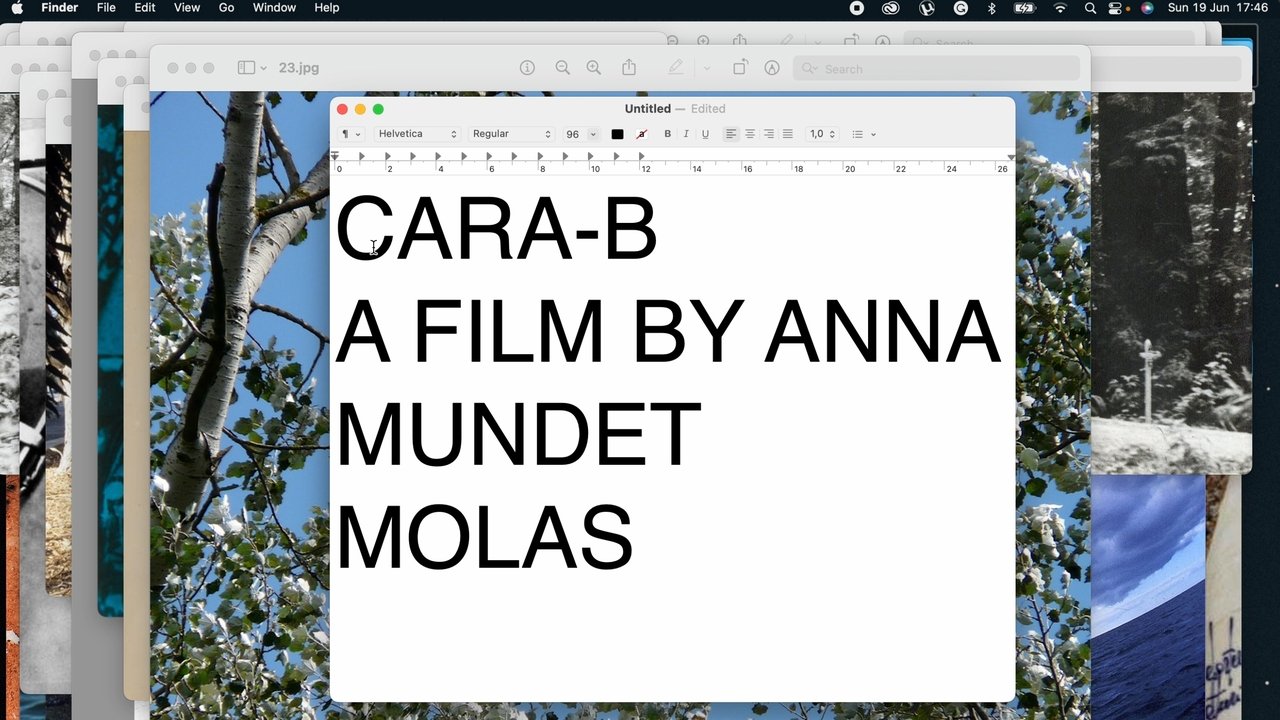 CARA-B