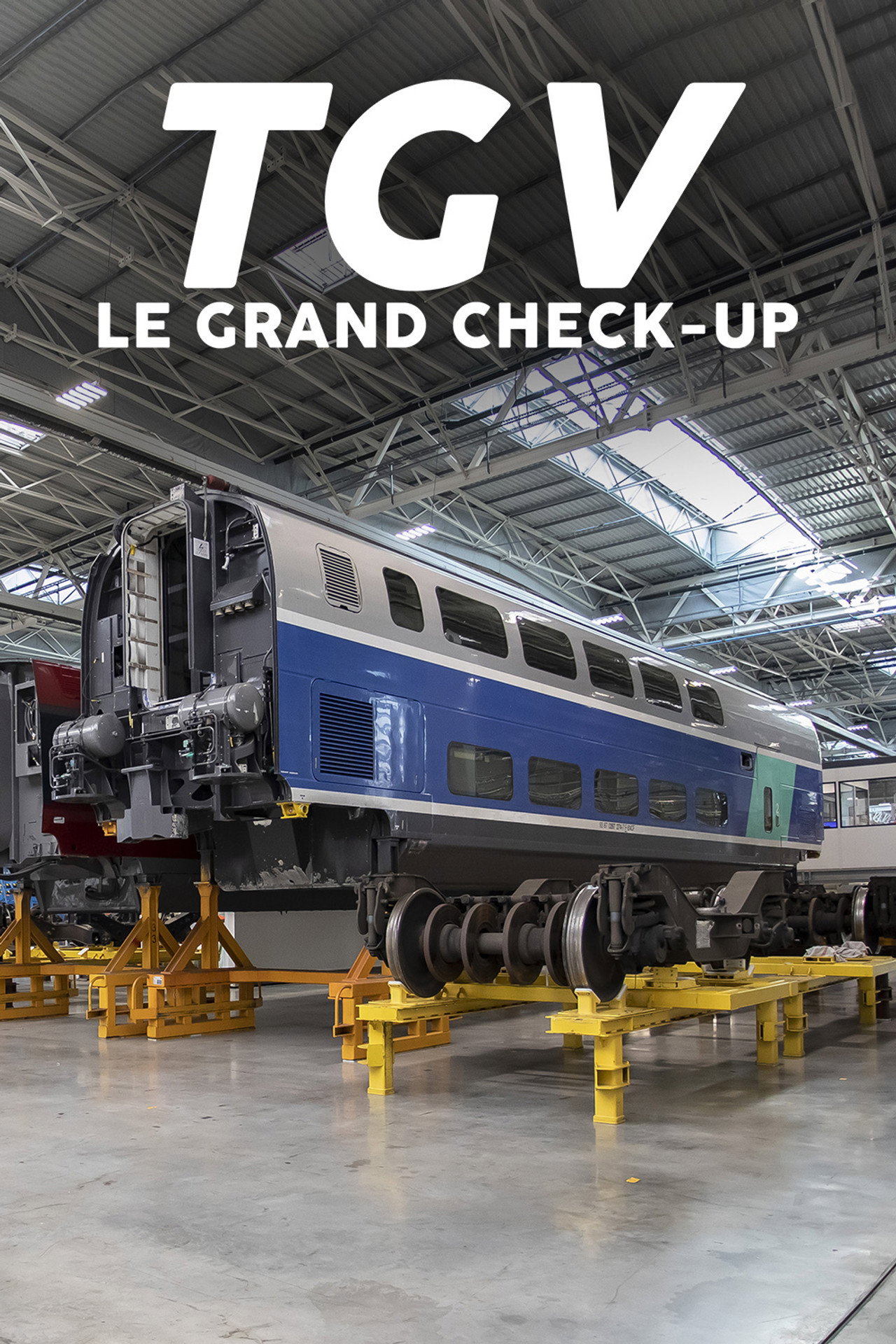 TGV : Le Grand Check-up filmaffisch