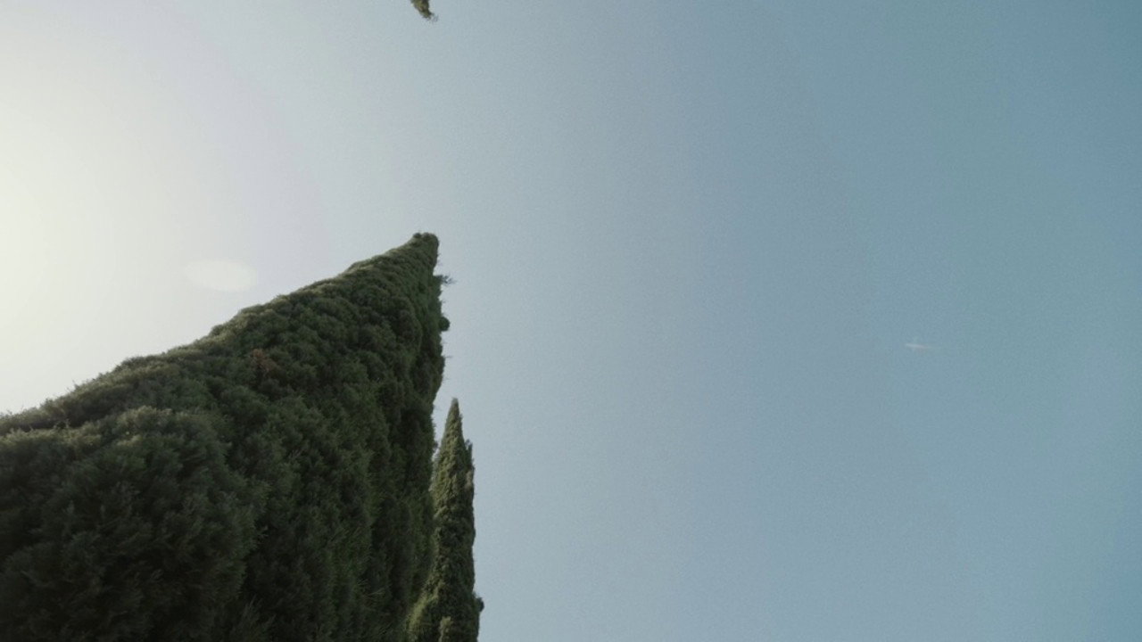 A Plot, A Scandal backdrop