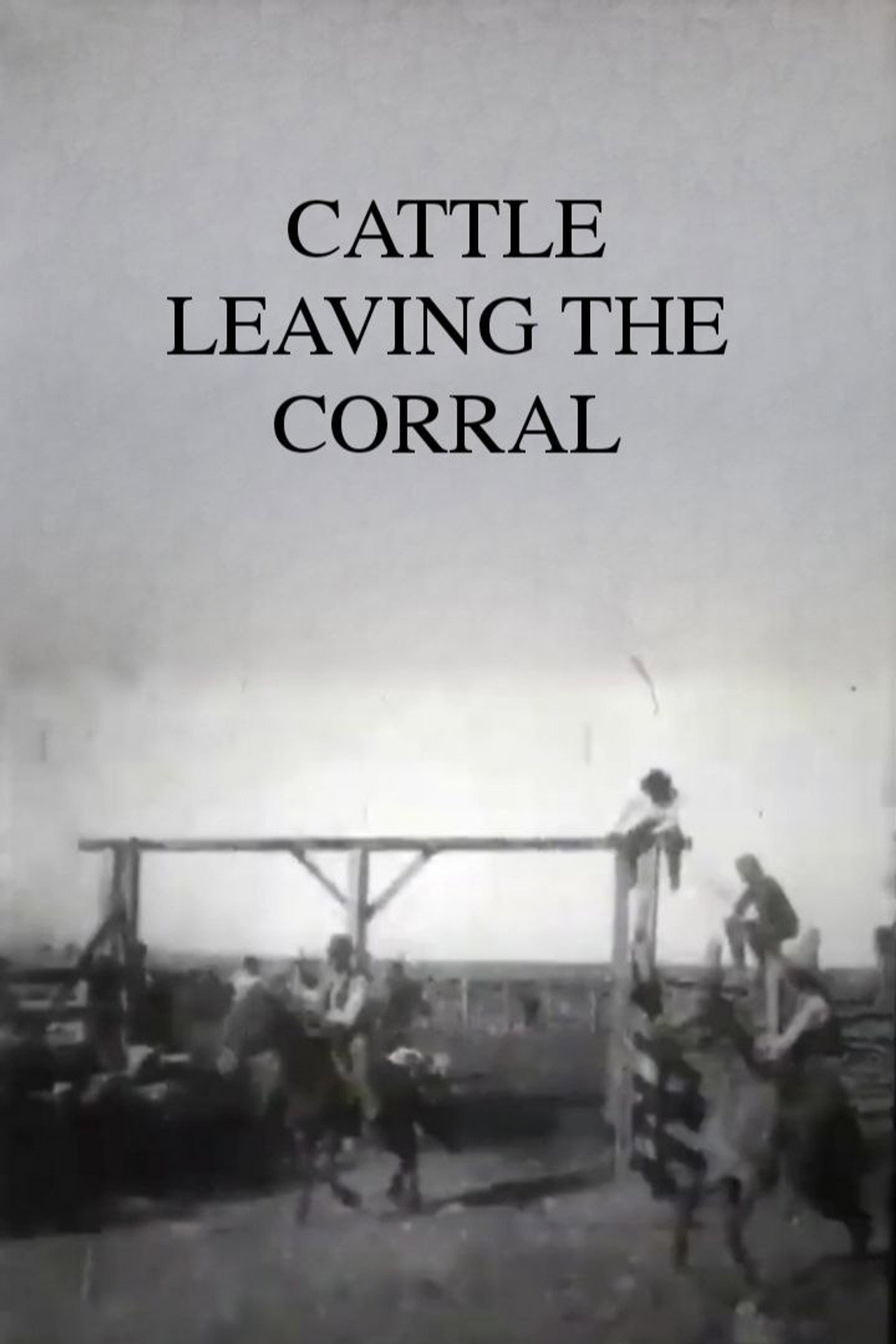 Cattle Leaving the Corral
