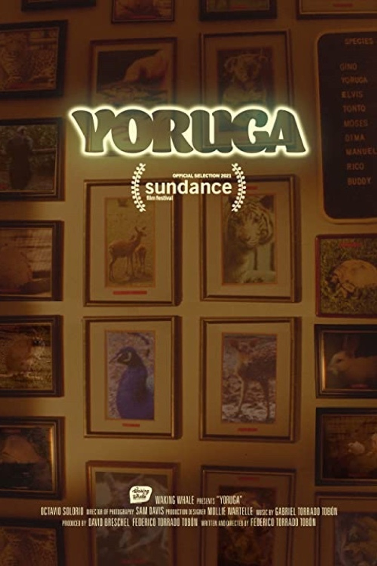 Yoruga filmaffisch