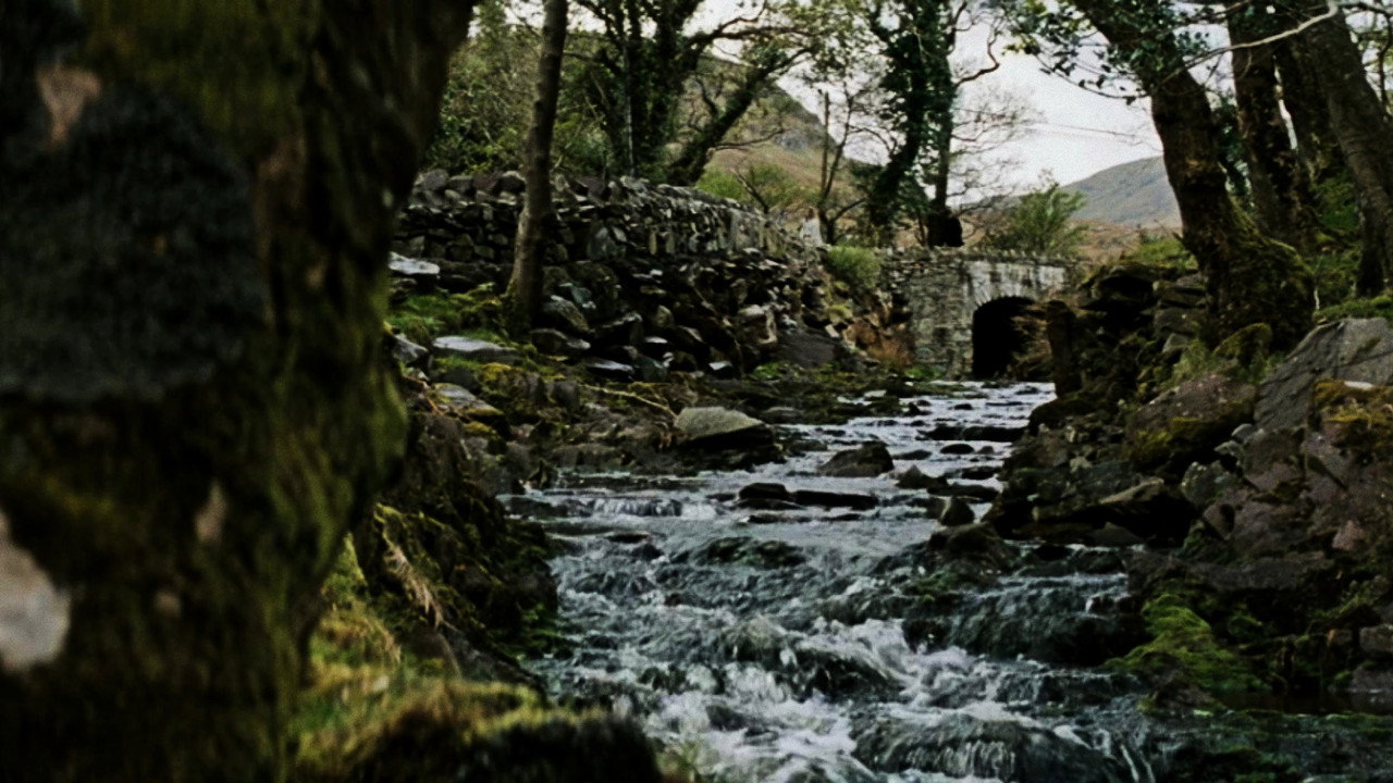 scenes 20