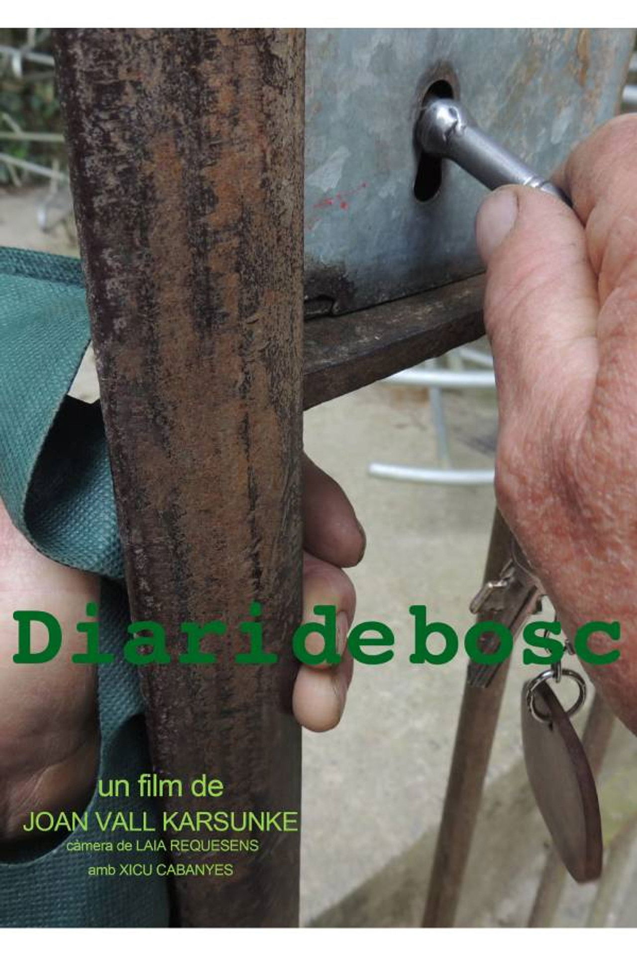 Diari de bosc Backdrop