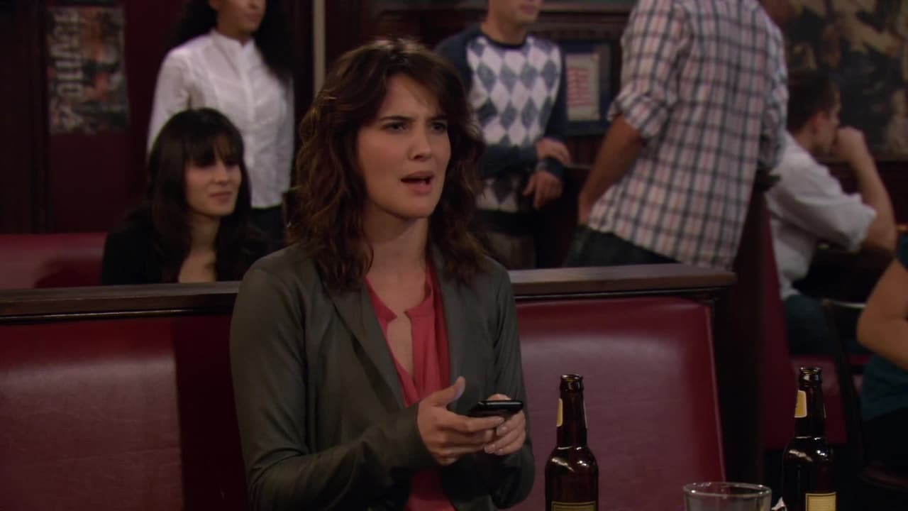 How I Met Your Mother - Season 6 Episode 24 : Challenge Accepted