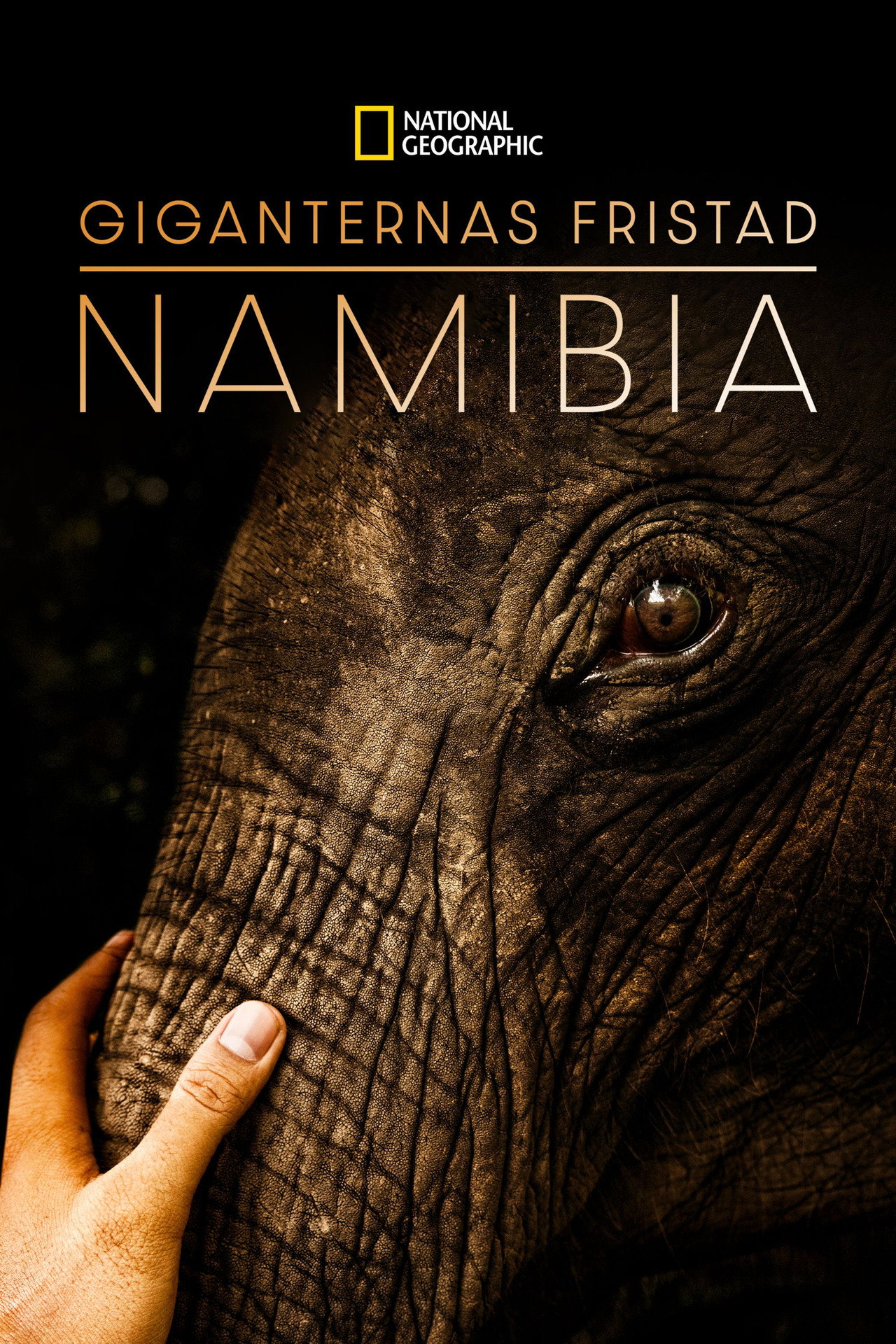 Namibia, Sanctuary of Giants filmaffisch
