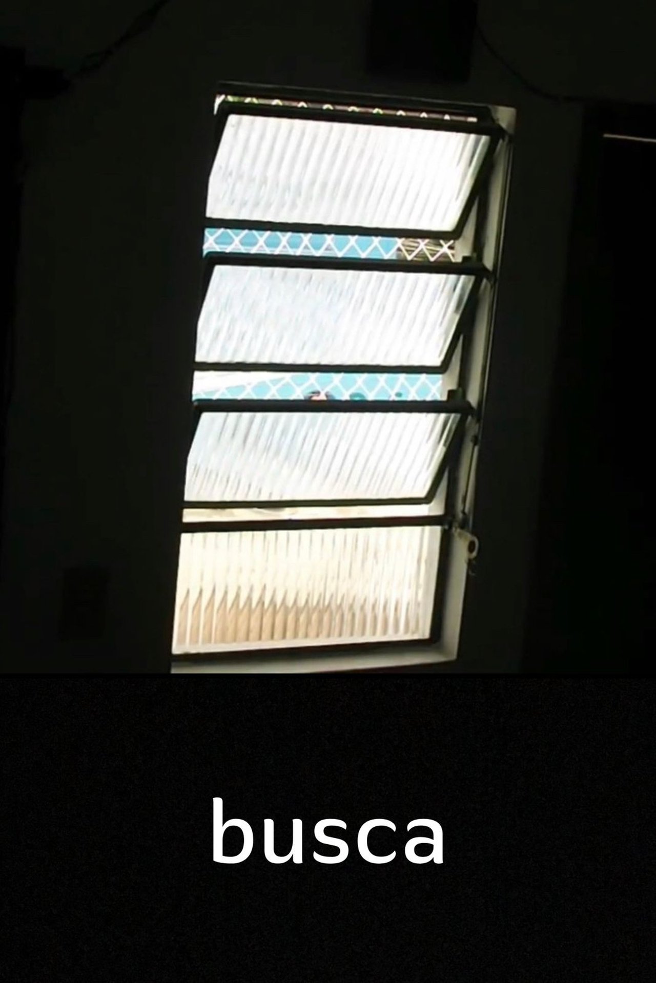 Search poster