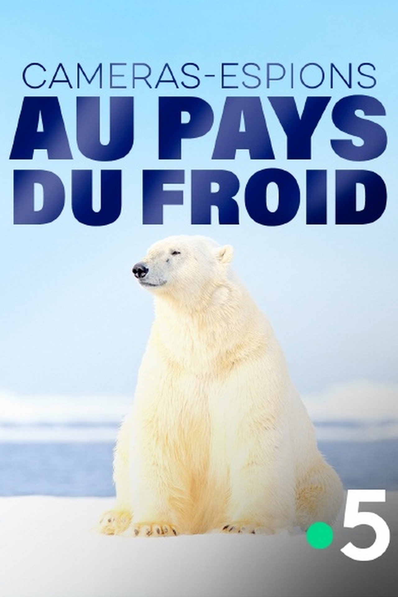 Caméras-espions au pays du froid filmaffisch