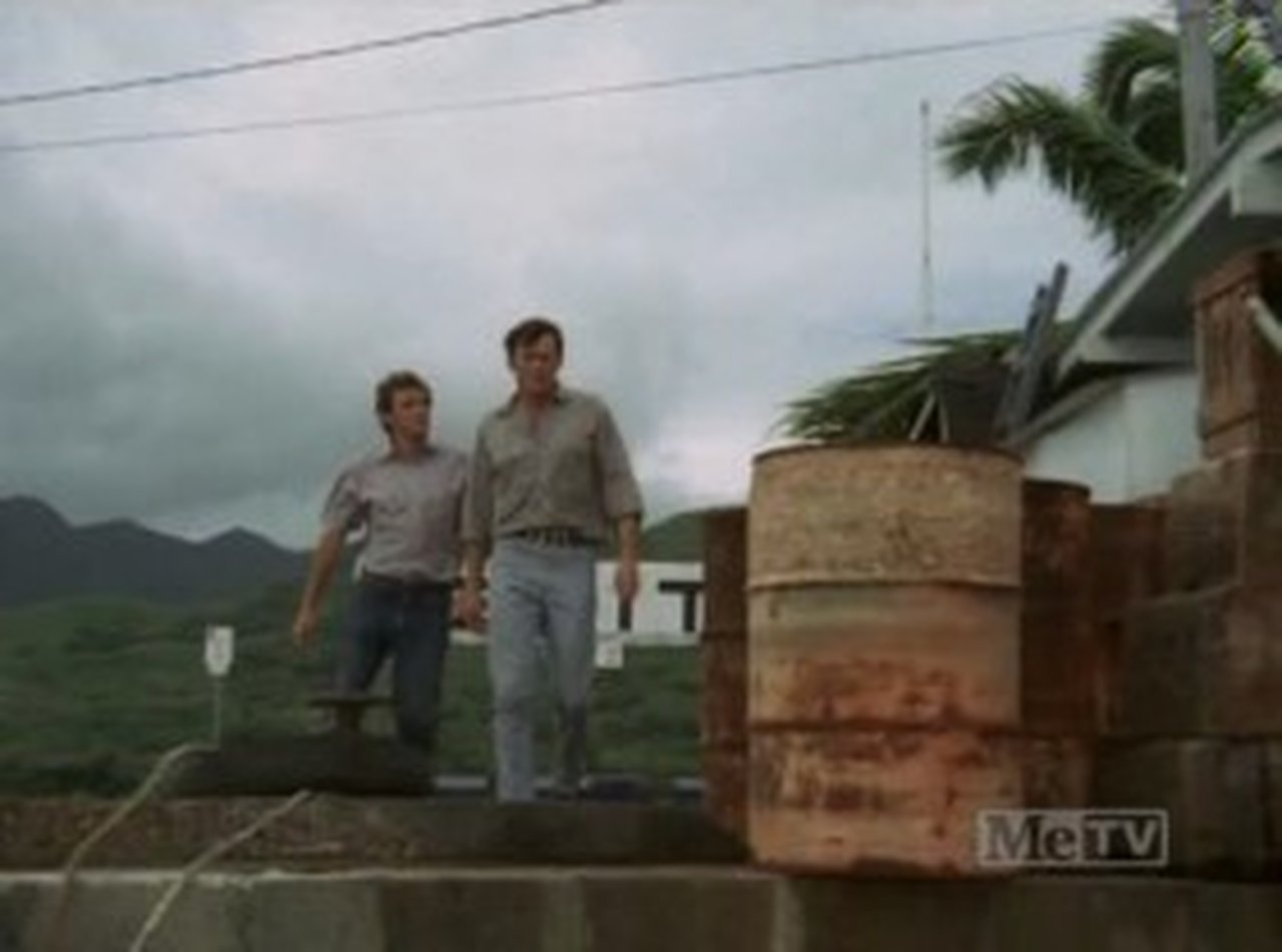 Hawaii Five-O - Season 3 Episode 6 : The Ransom