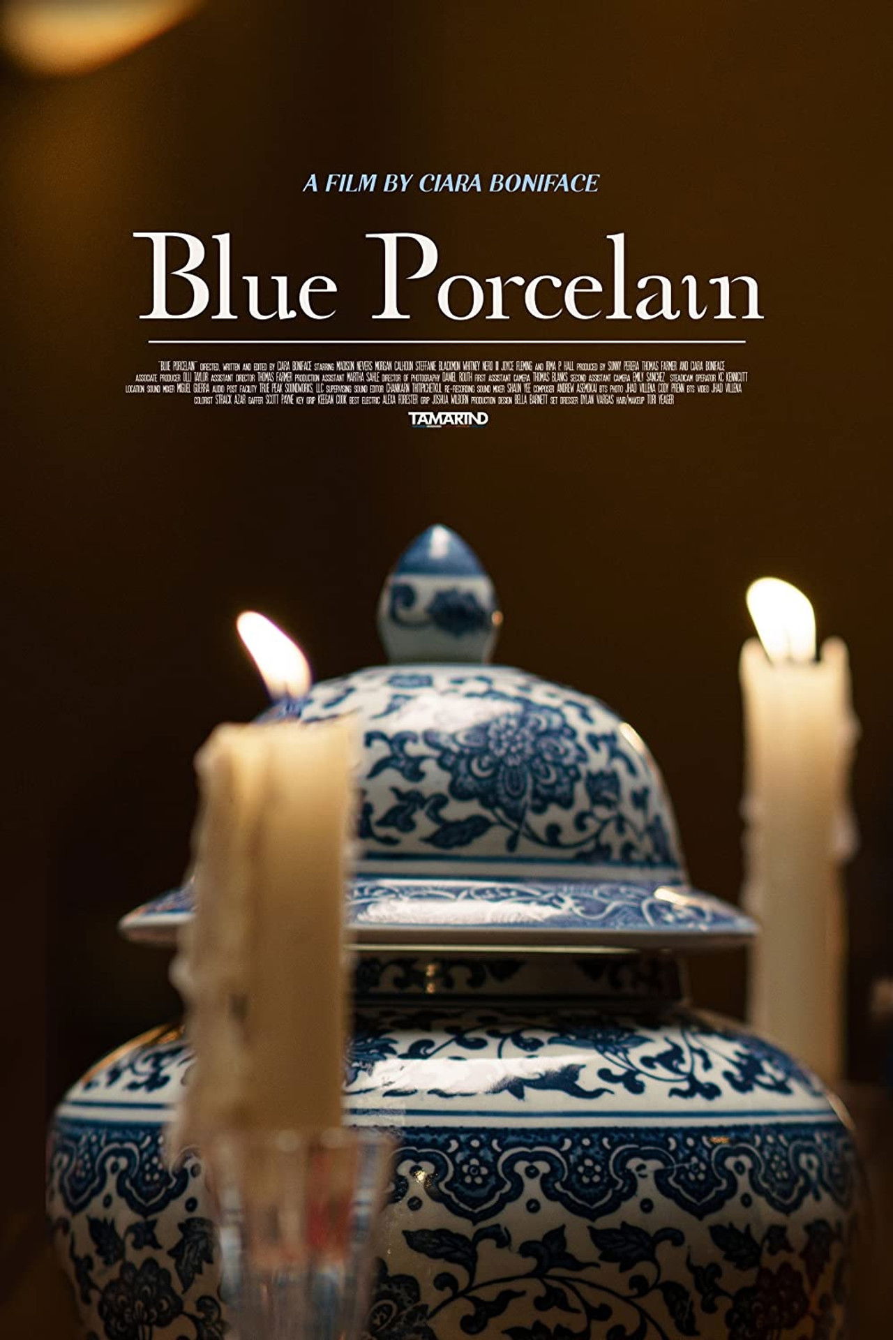 Blue Porcelain Backdrop