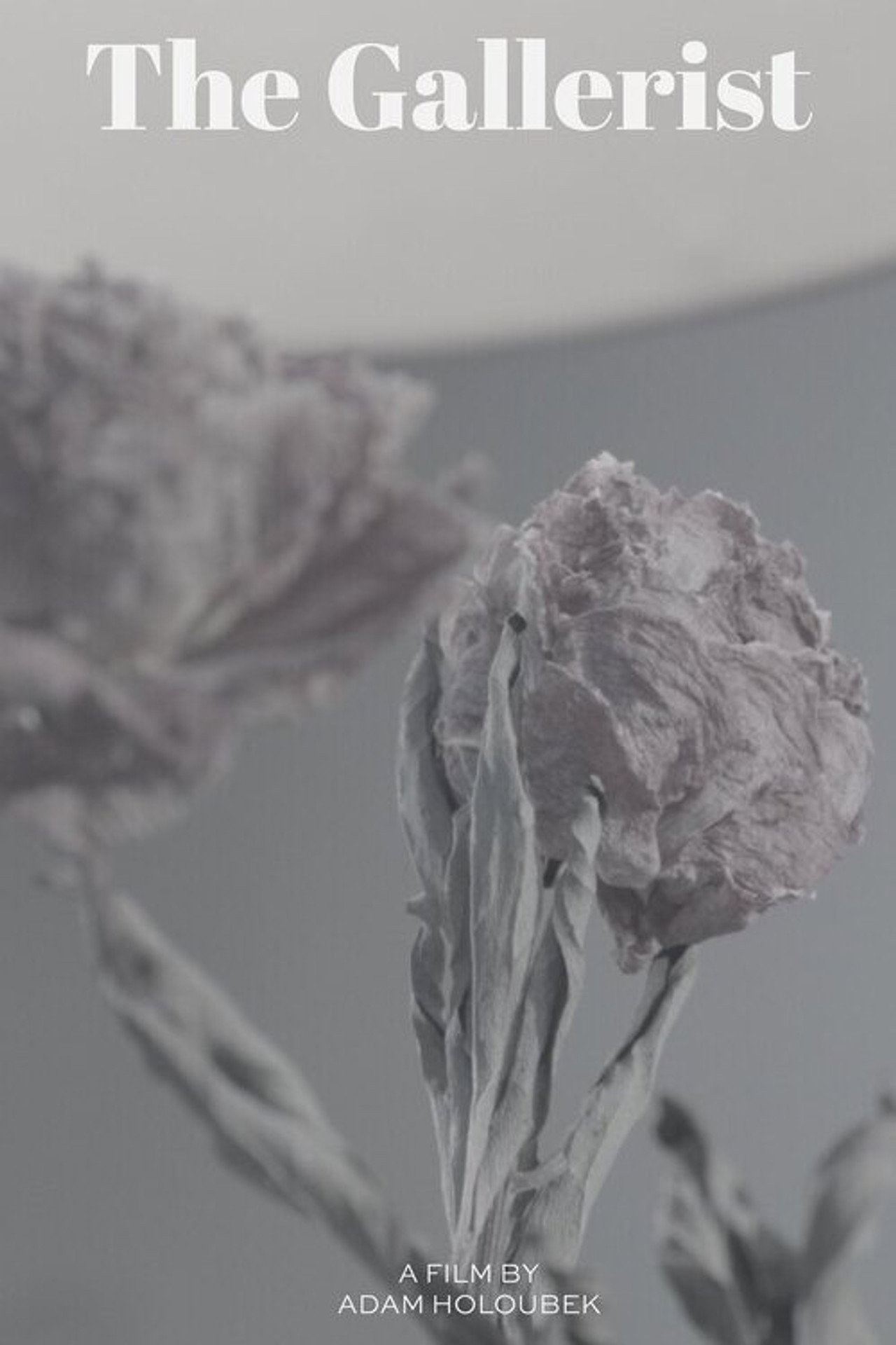 The Gallerist Backdrop