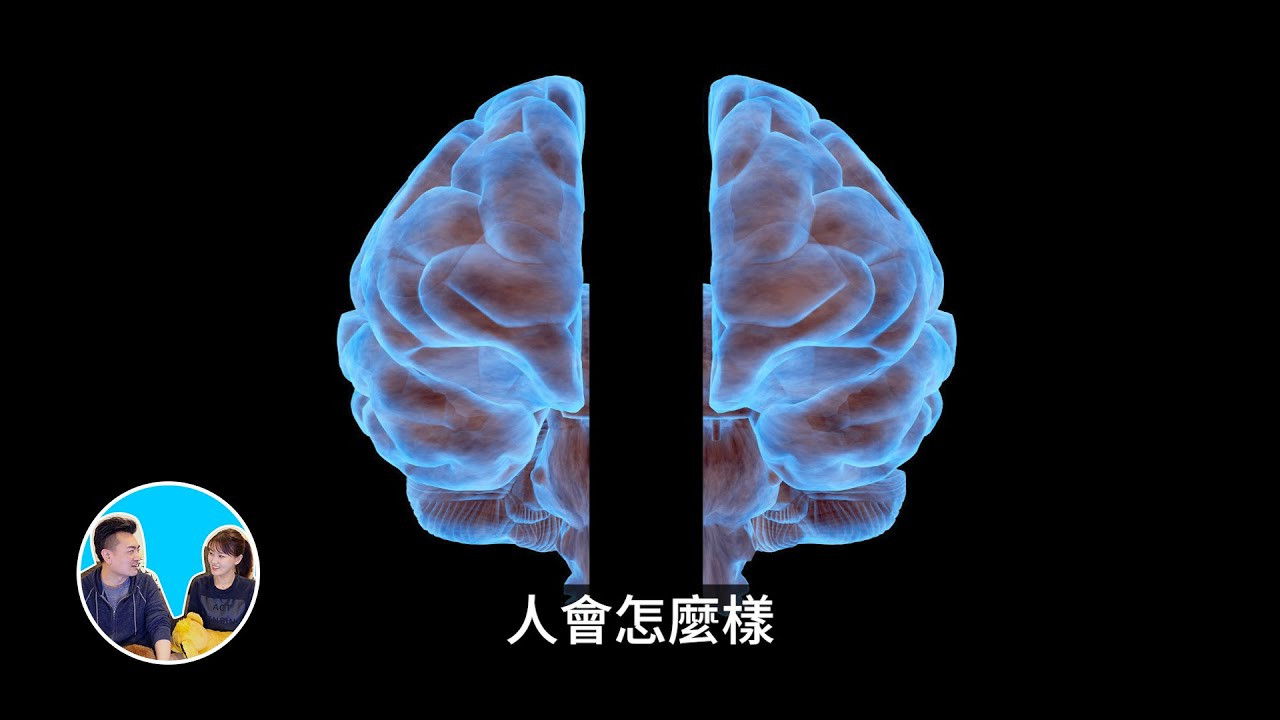 老高与小茉 — Épisode 133