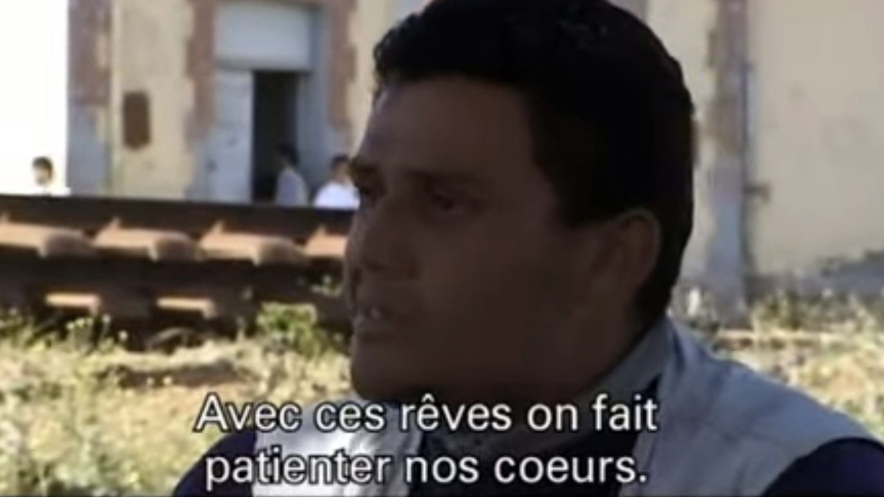 Algérie, La vie quand même