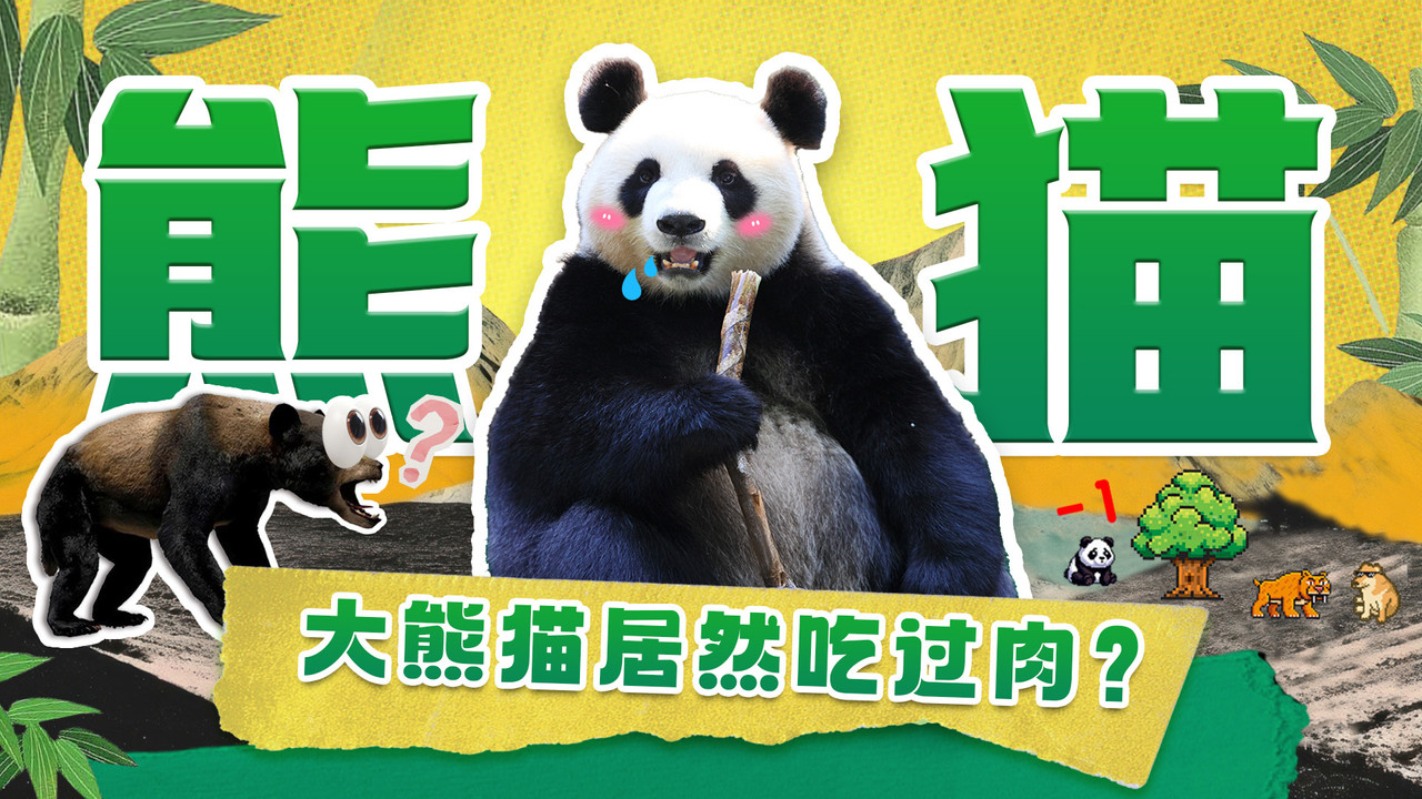 斑马百科探索 — Épisode 10