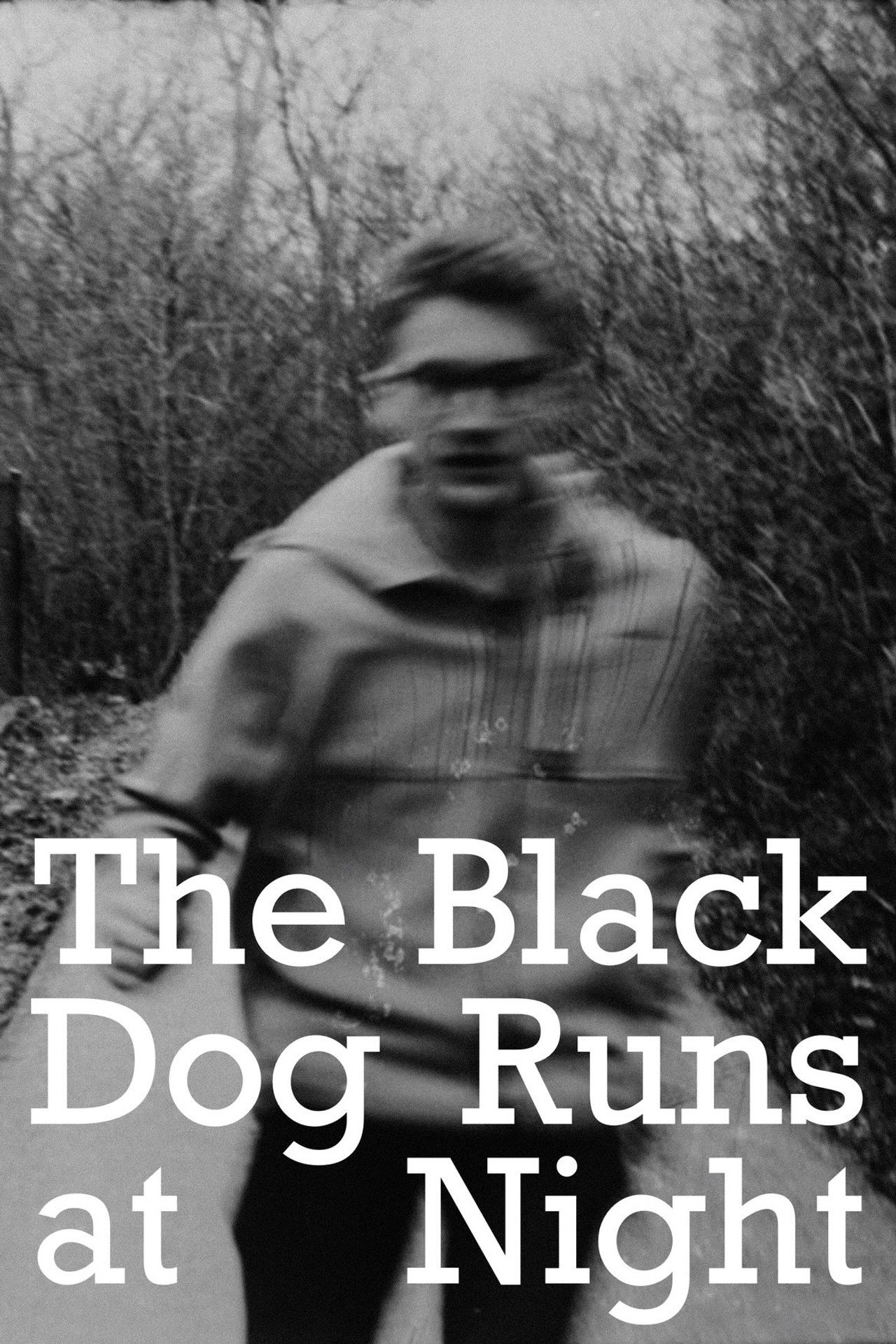 The Black Dog Runs At Night filmaffisch