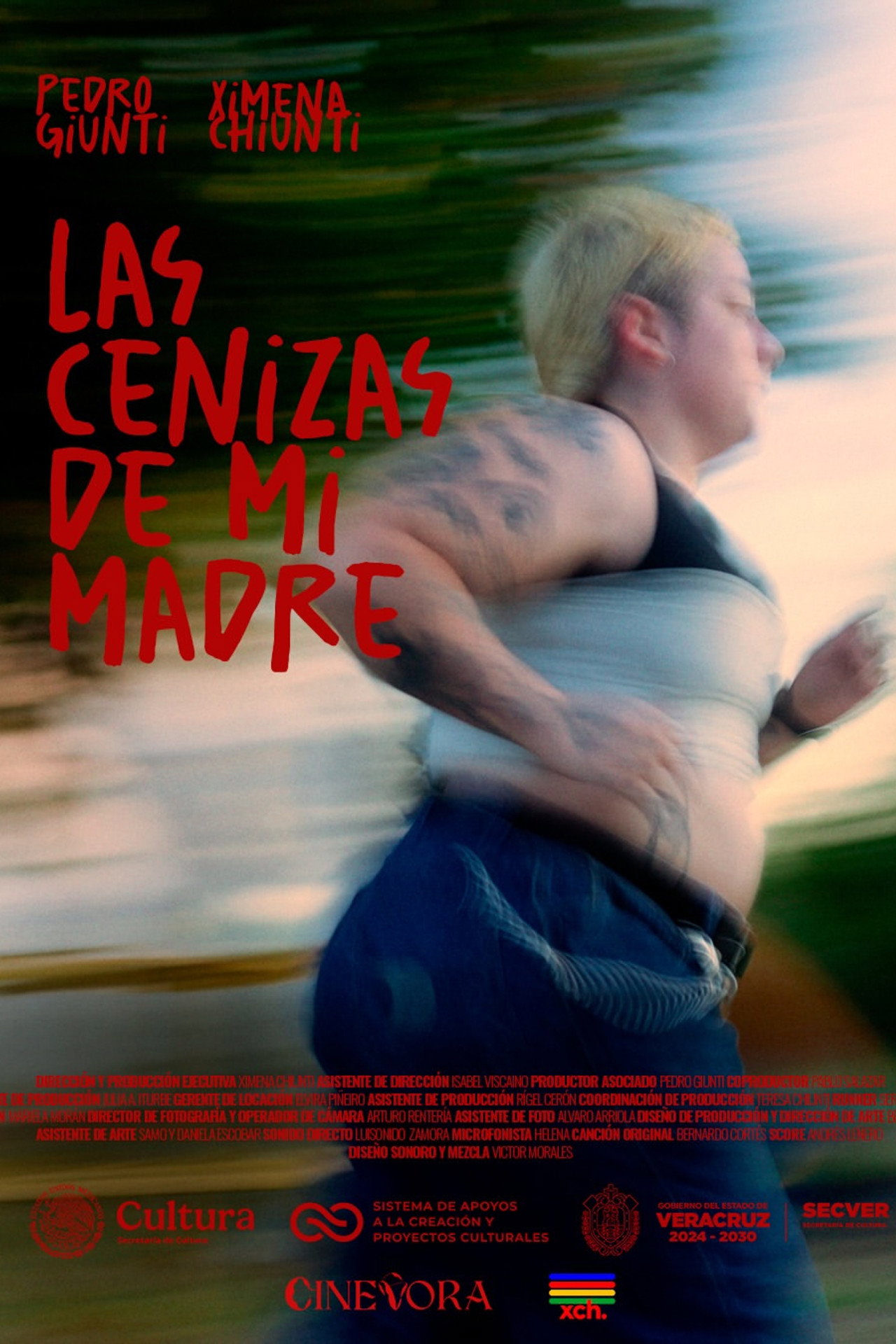 Las cenizas de mi madre poster