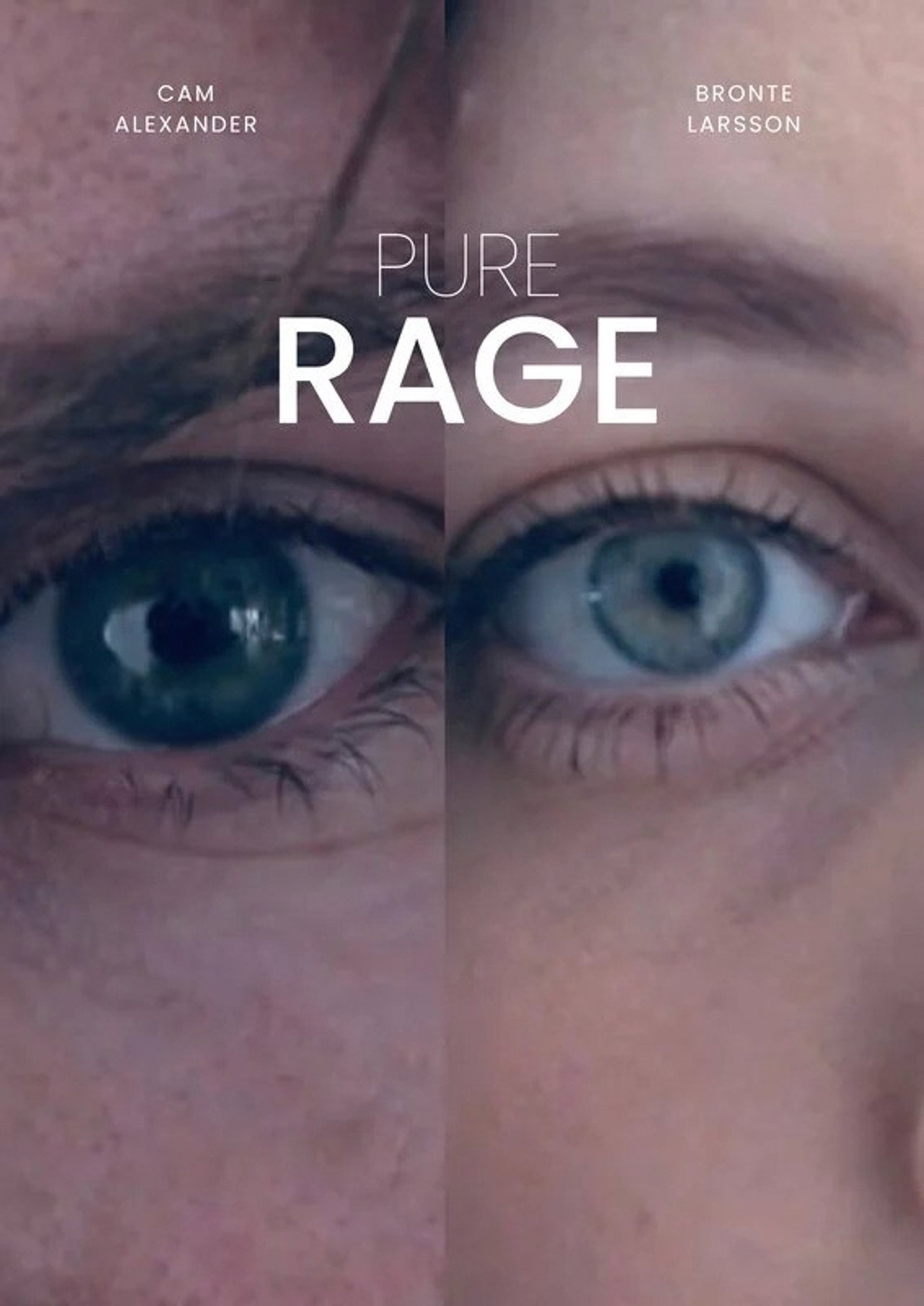Pure Rage filmaffisch