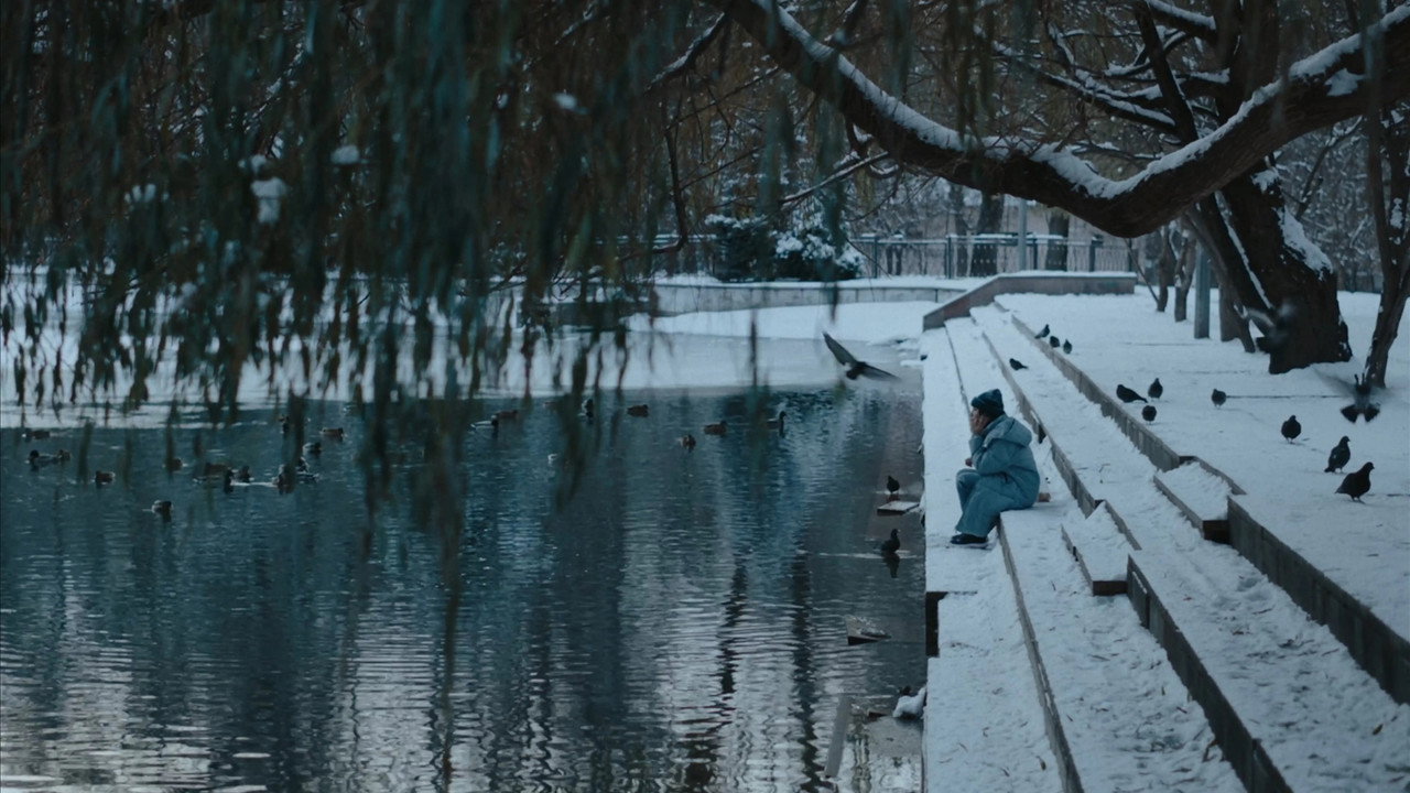 What have you done, Zarina?