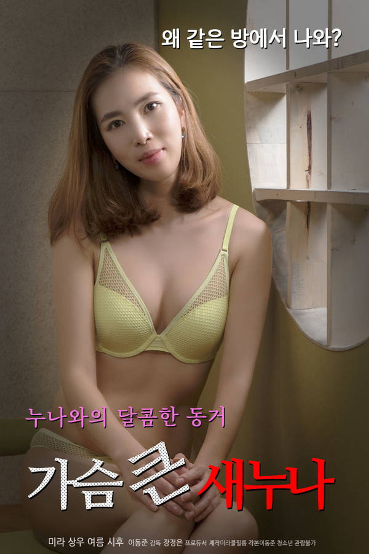 가슴 큰 새 누나 filmaffisch