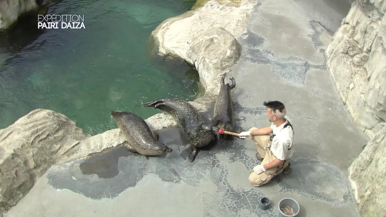 Expédition Pairi Daiza backdrop