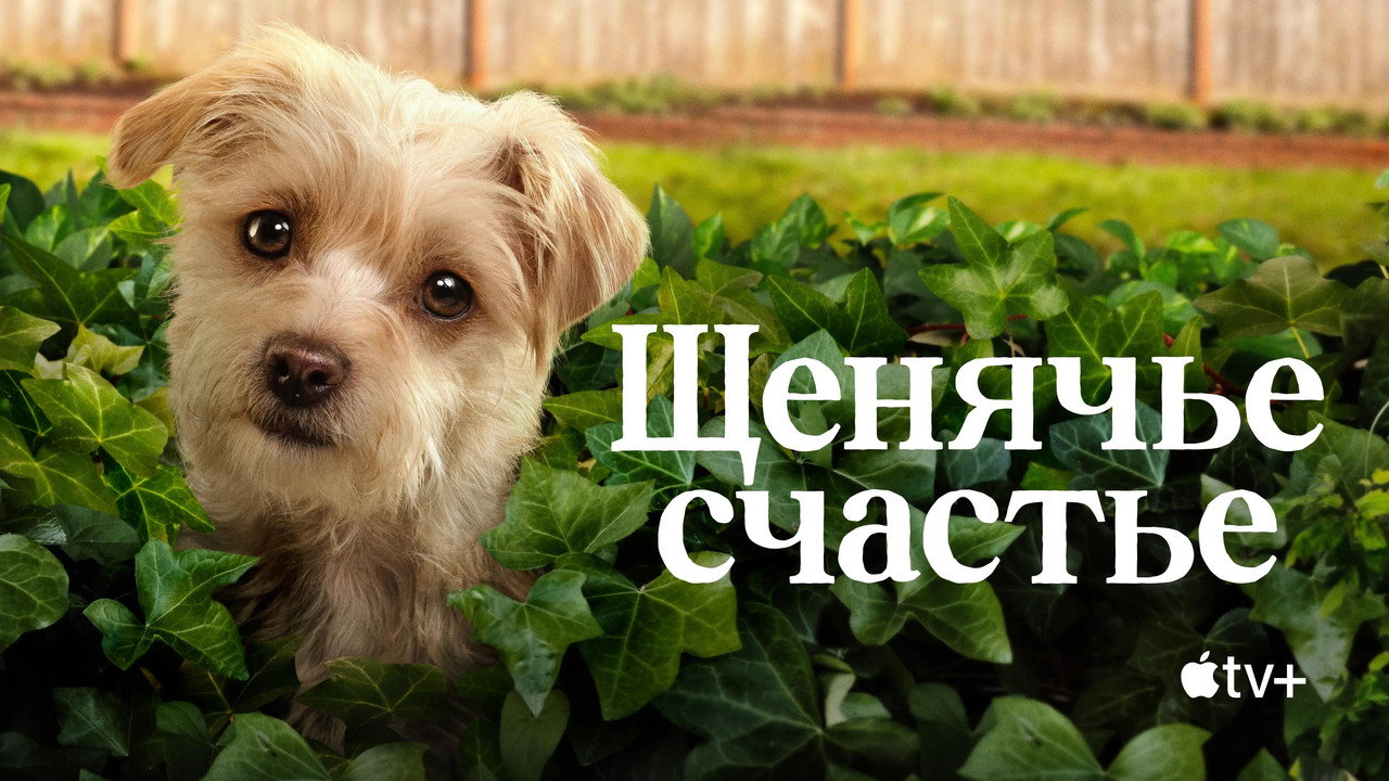 Щенячье счастье