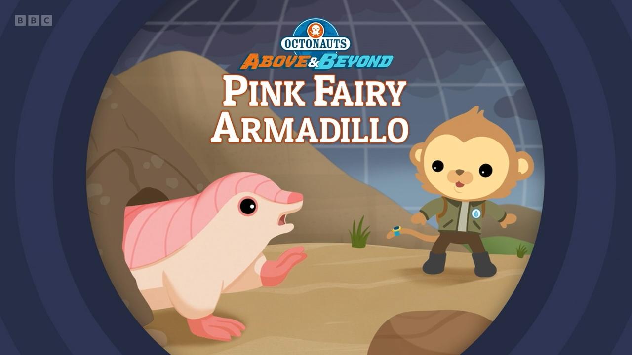 Octonauts: Above & Beyond - Season 3 Episode 3 : Pink Fairy Armadillo