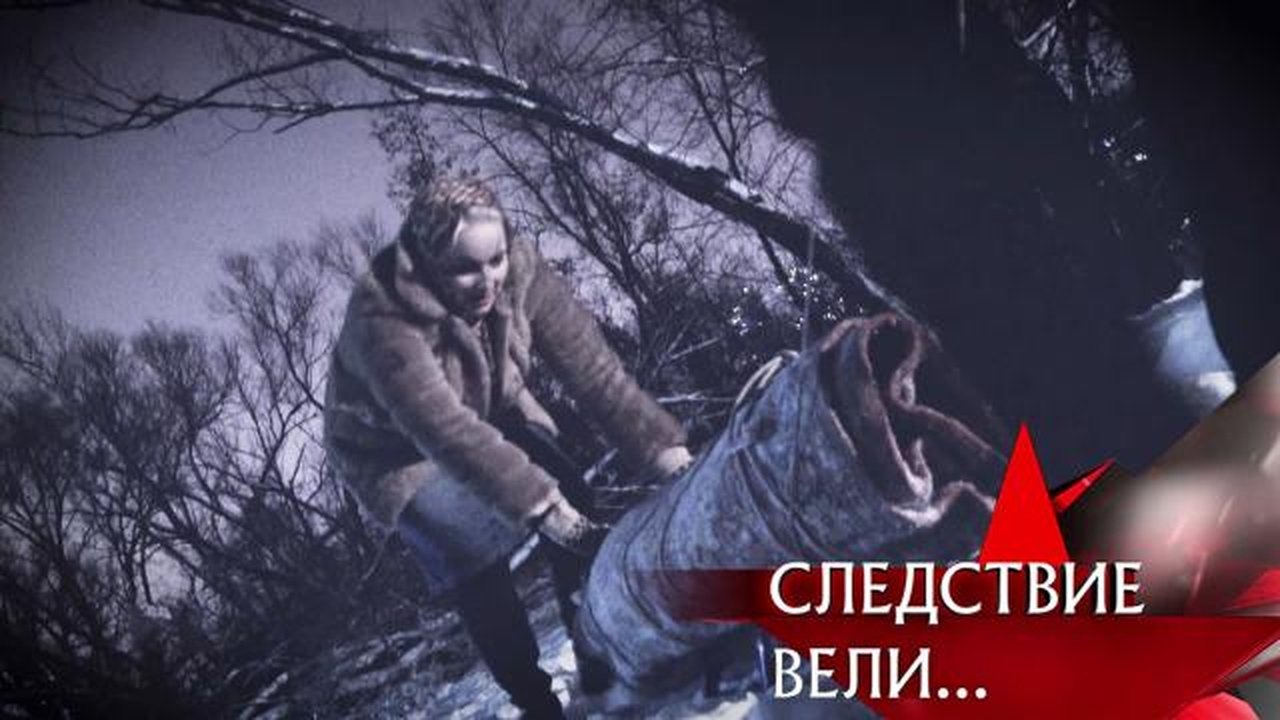 The investigation was conducted - Season 17 Episode 36 : Episode 36
