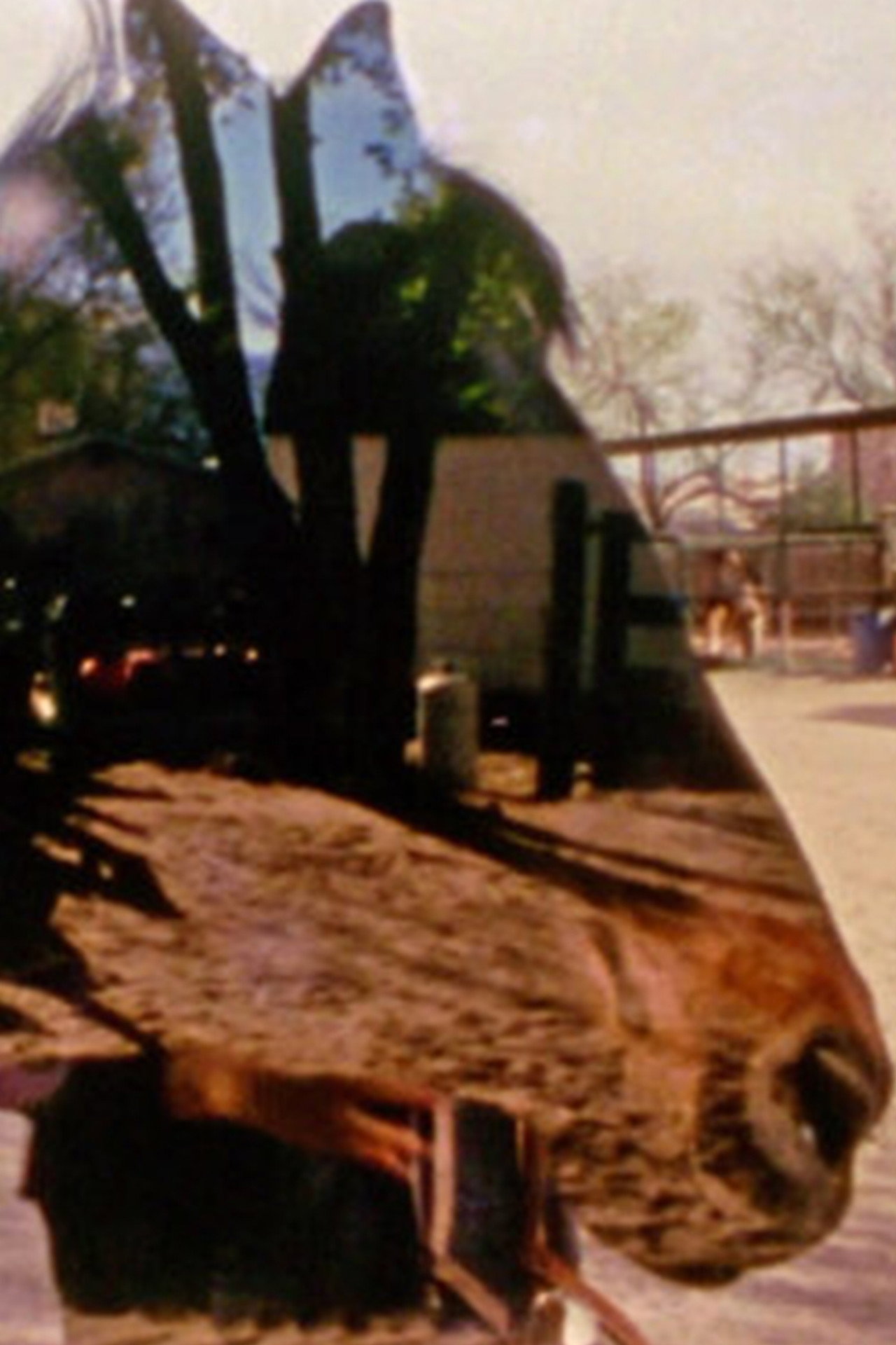 Horse Fare filmaffisch