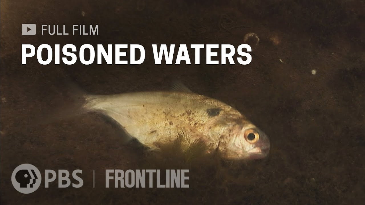 Poisoned Waters