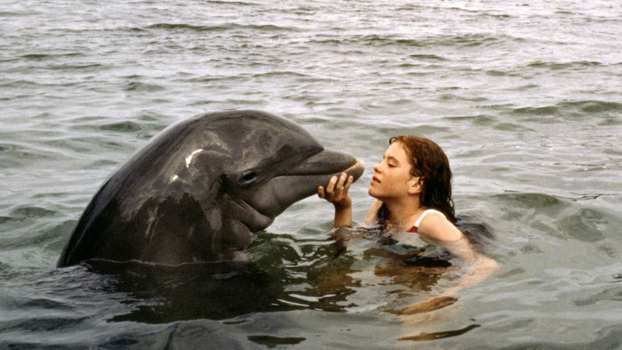 La grenouille et la baleine background