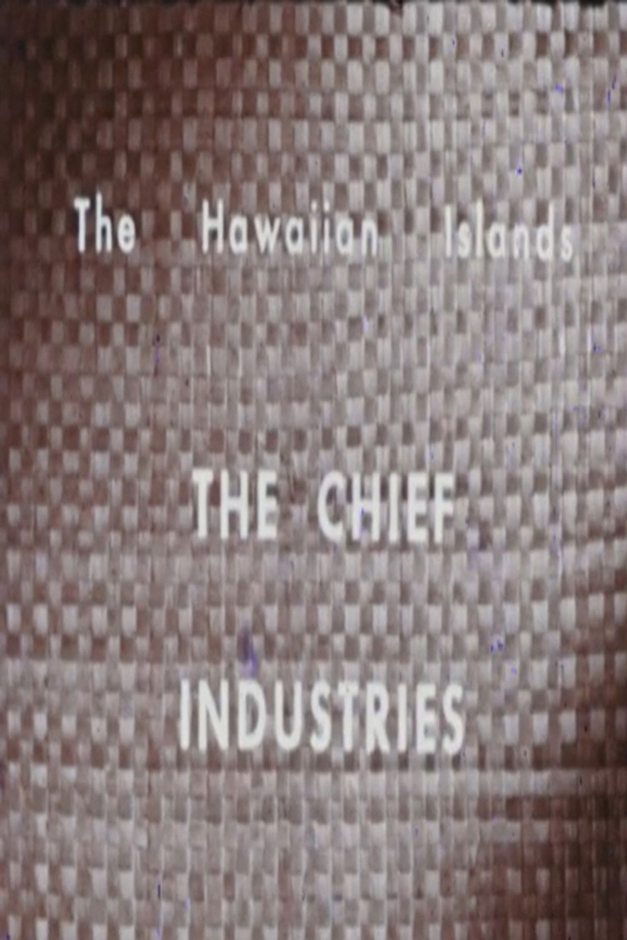 The Hawaiian Islands: The Chief Industries poster