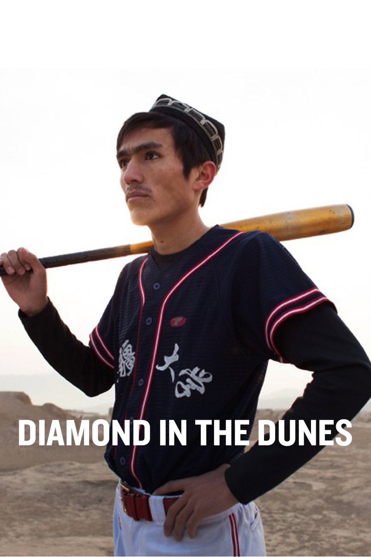 Diamond in the Dunes filmaffisch