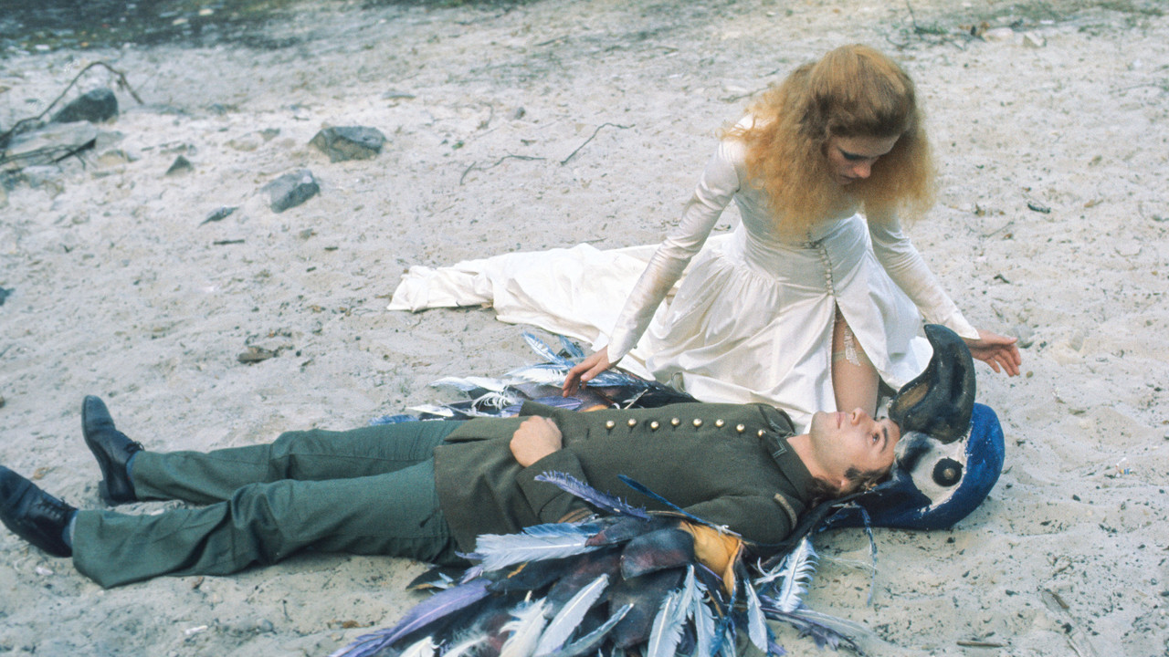 Un rêve plus long que la nuit