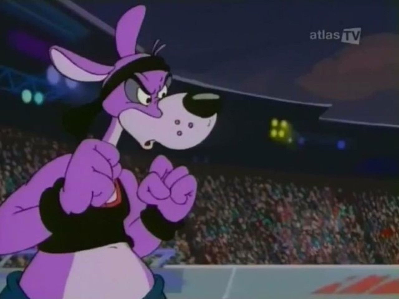 Kangoo — Du fluo pour les Kangoo