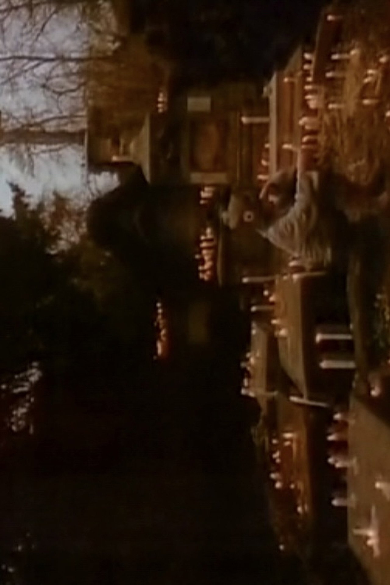 Hommage à Hölderlin filmaffisch